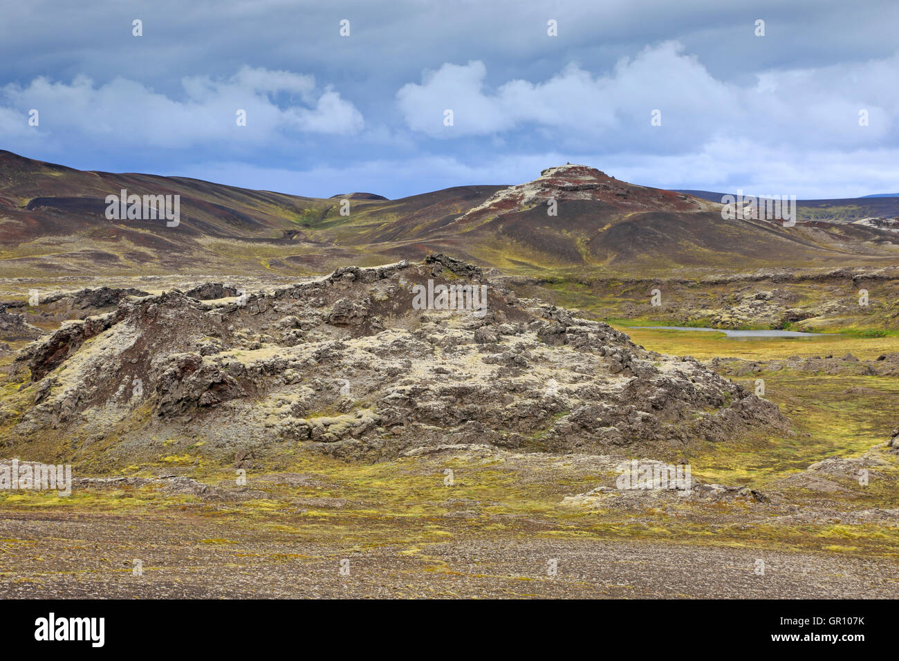 Ansicht von Moos und Flechten bedeckt Lava im Hochland von Island Stockfoto