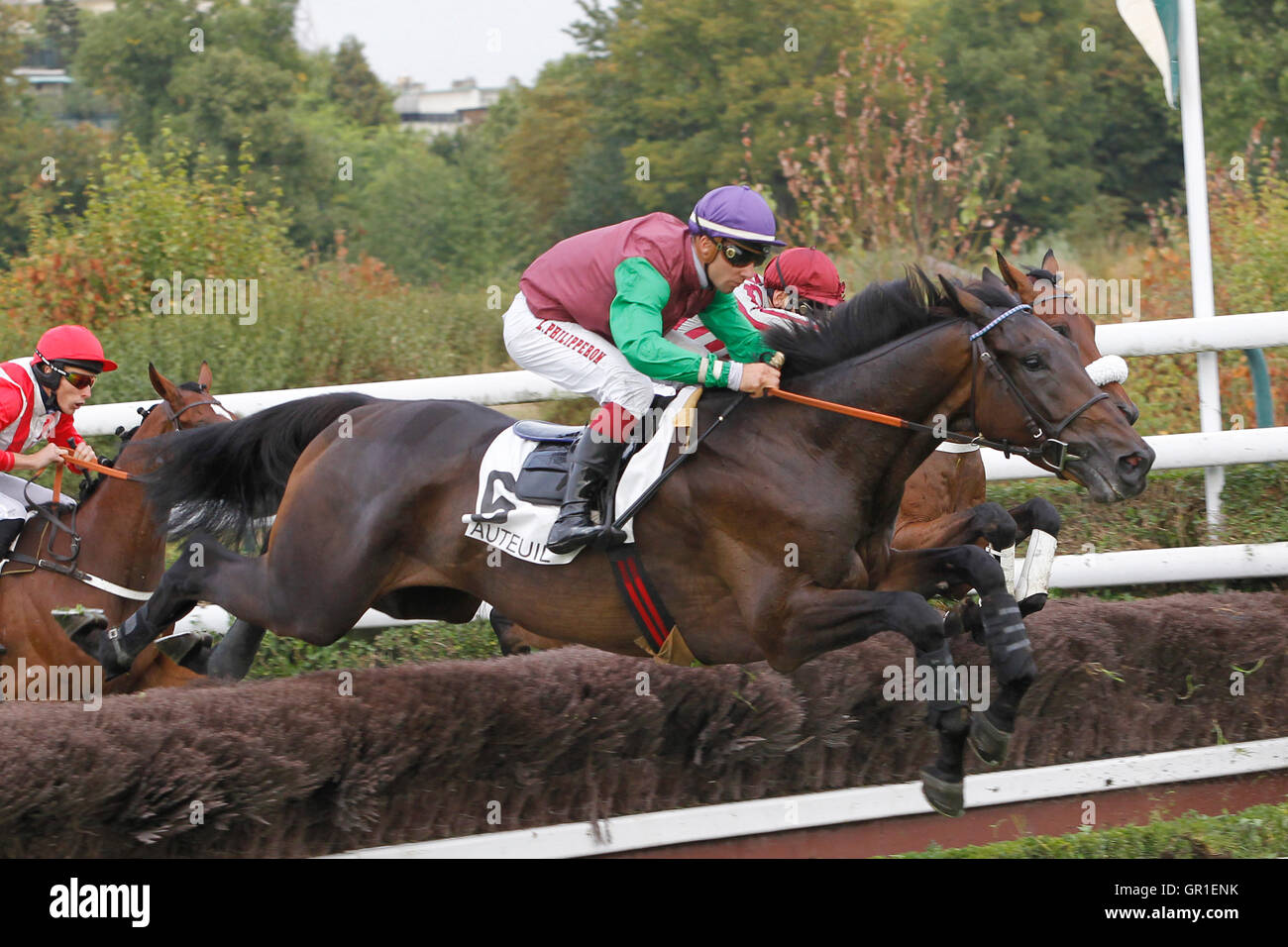 Auteuil, Route des Lacs in Paris, Frankreich. 6. September 2016. Rennen Sie 5, W. Chase zulässt. UN Comedien geritten von Ludovic Philipperon Credit: Action Plus Sport Bilder/Alamy Live News Stockfoto