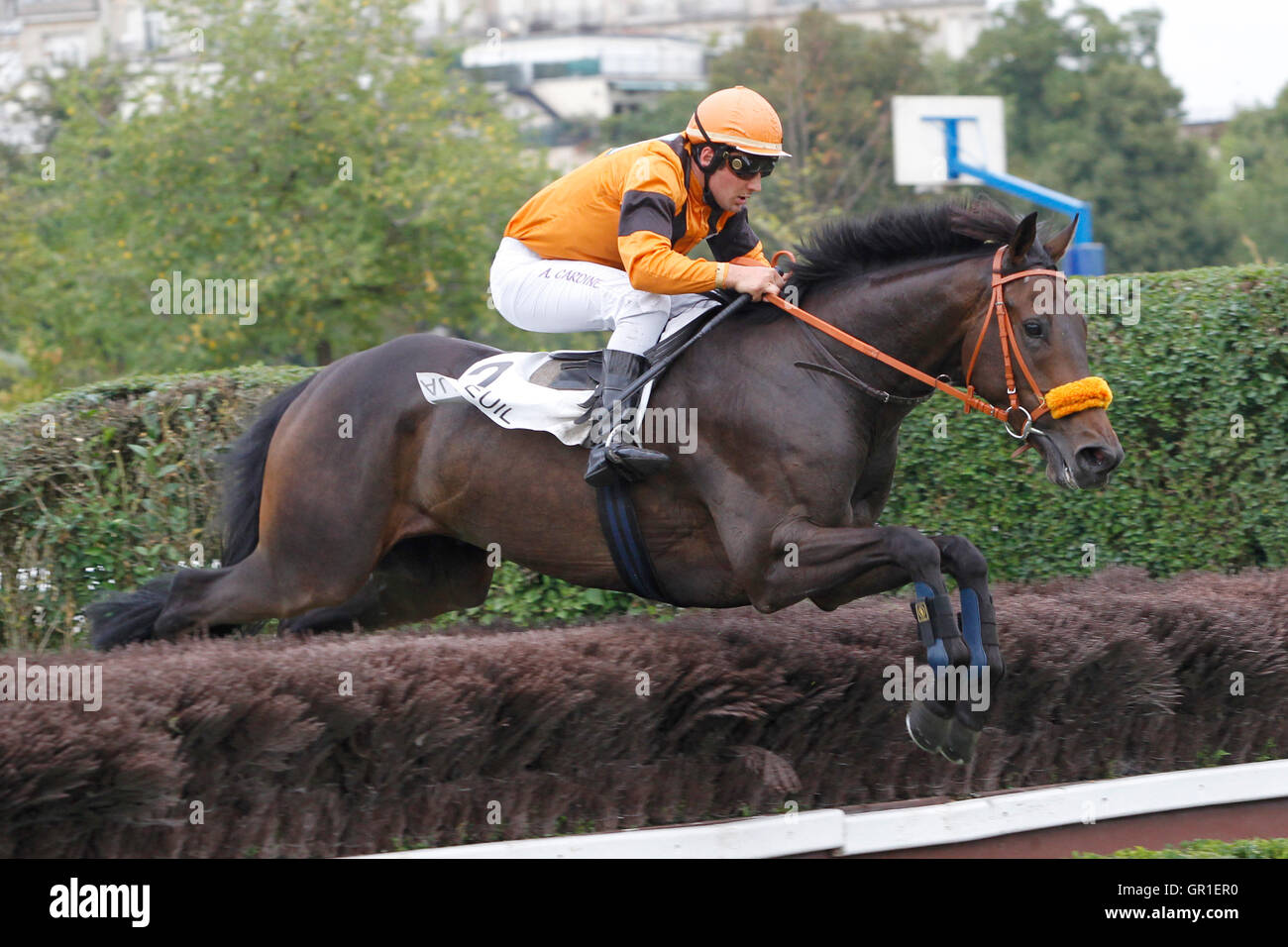 Auteuil, Route des Lacs in Paris, Frankreich. 6. September 2016. Rennen 6, Achille Fould aufgeführten Hürde. Bo Bleu geritten von Anthony Cardine Credit: Action Plus Sport Bilder/Alamy Live News Stockfoto