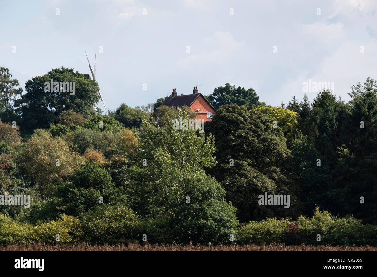 Die Segel der Mühle und das Clubhaus des Golfplatzes in Reigate Heide, Reigate, Surrey Stockfoto