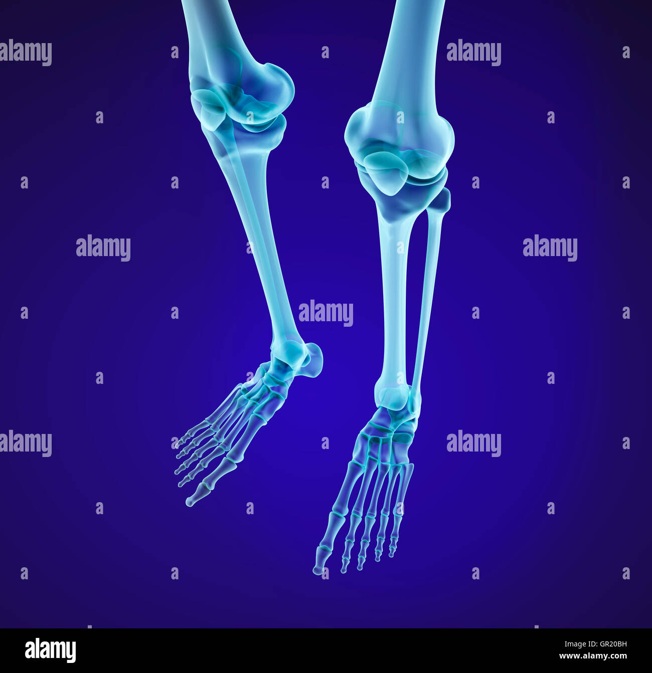 The Absorption of X Rays by Chemical Elements of High Atomic Numbers