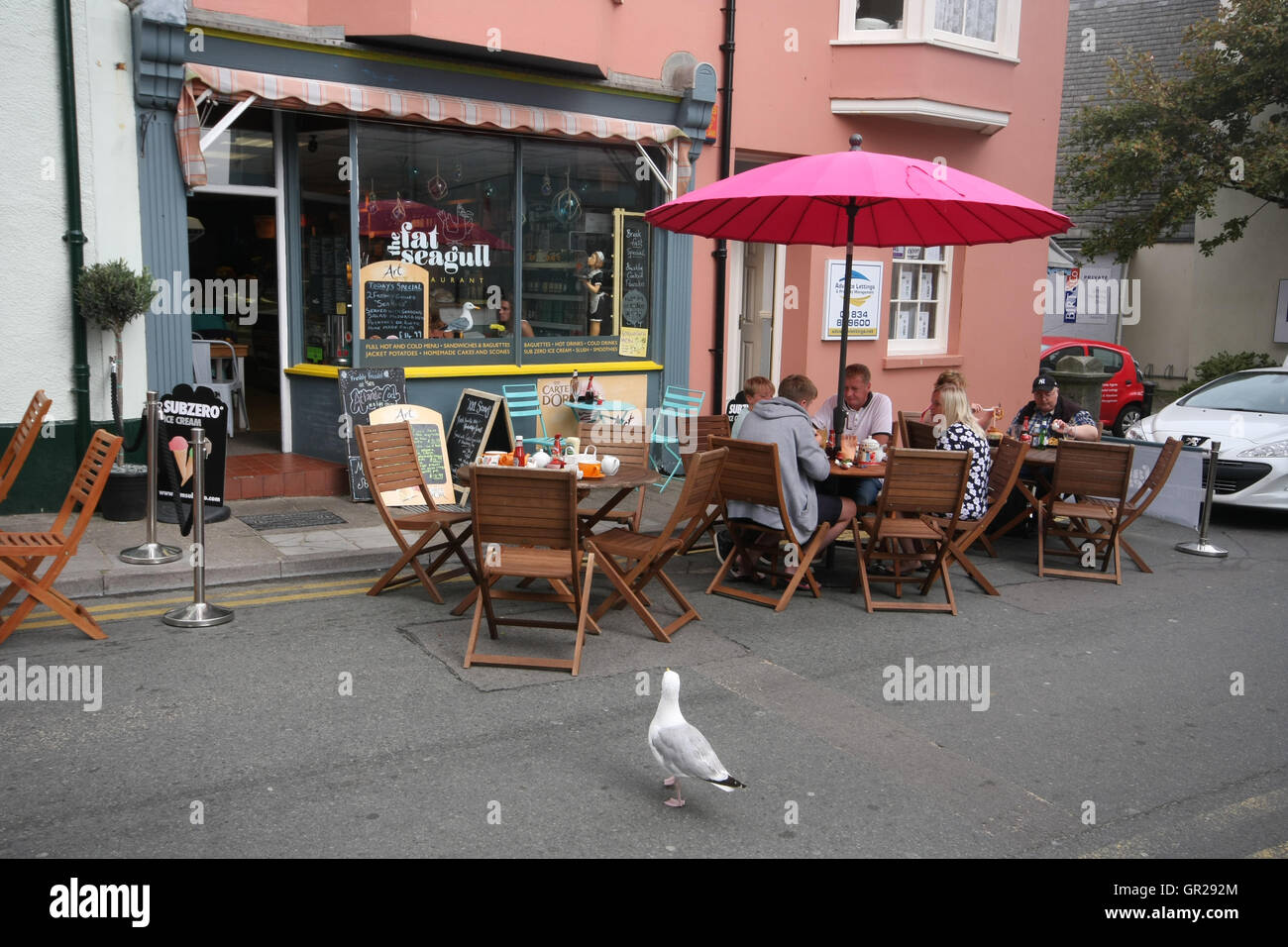 Eine Möwe in Tenby, South Wales, UK Stockfoto