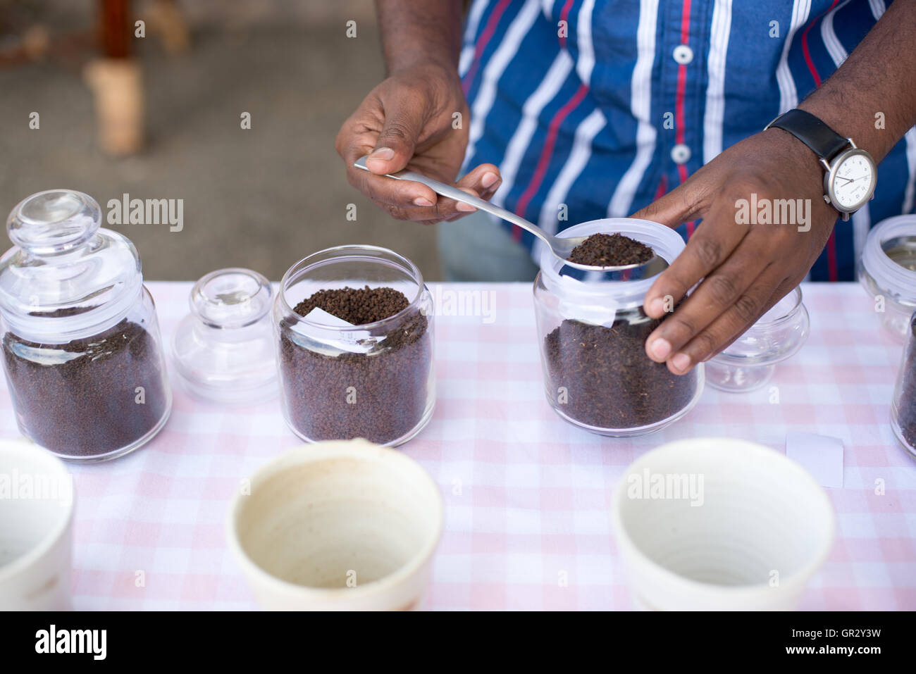 Tee-Verkostung in der Teeplantage Kolukkumalai, Tamil Nadu, India Stockfoto