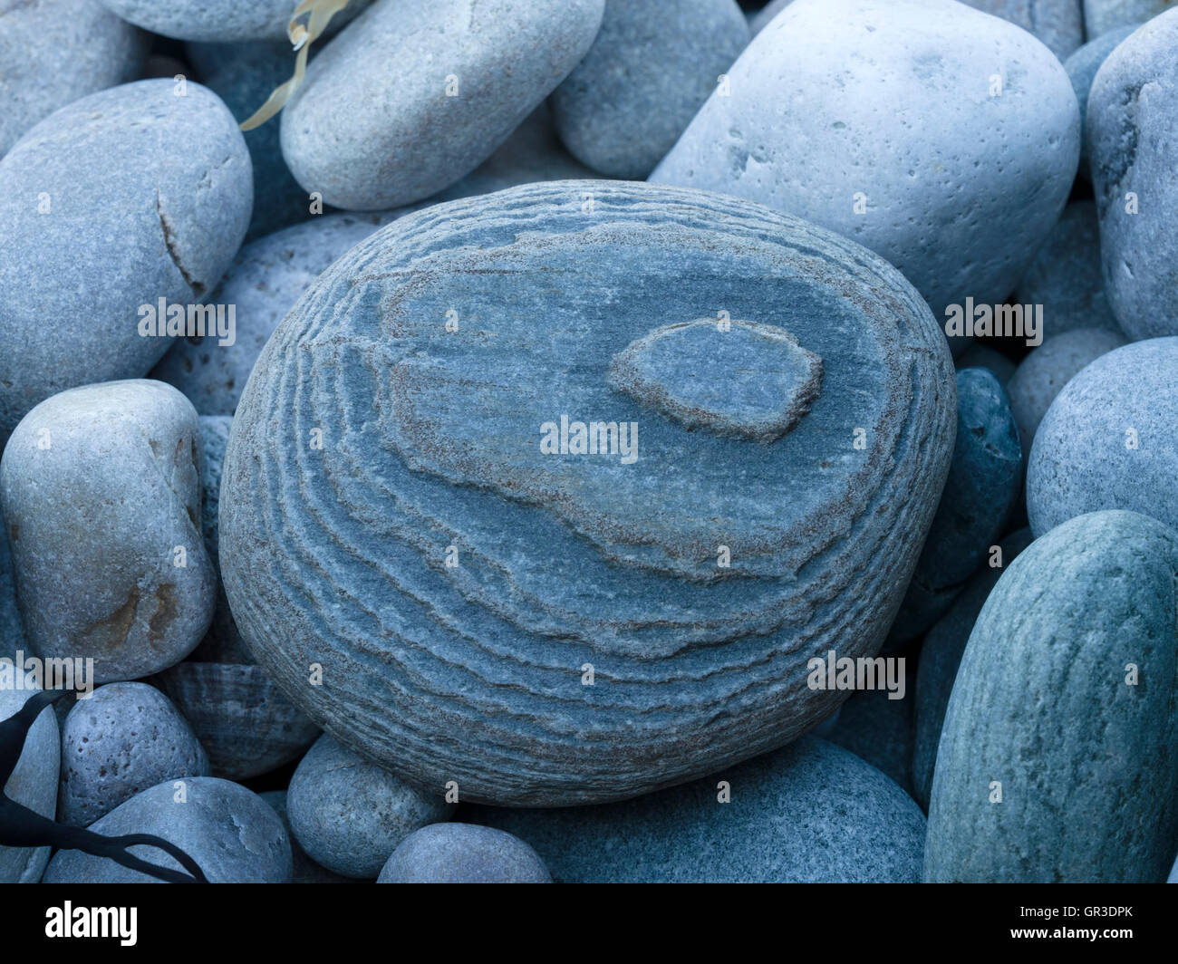 Verwittert, gemustert, blau, grau, Kiesstrand, Ardskenish, Insel Colonsay, Schottland, UK. Stockfoto