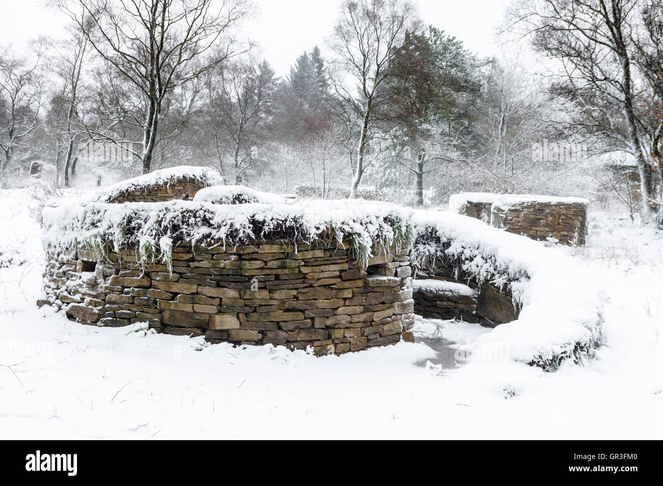 Trockenmauer (oder Deiche in Schottland) sind Mauern gebaut ohne jeden Mörtel auf die Steinen zusammen zu binden. Stockfoto