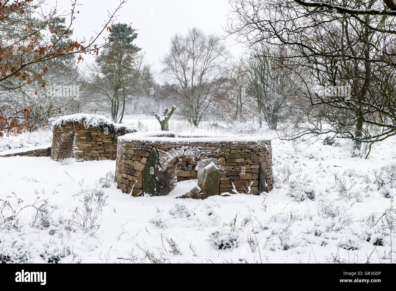 Trockenmauer (oder Deiche in Schottland) sind Mauern gebaut ohne jeden Mörtel auf die Steinen zusammen zu binden. Stockfoto