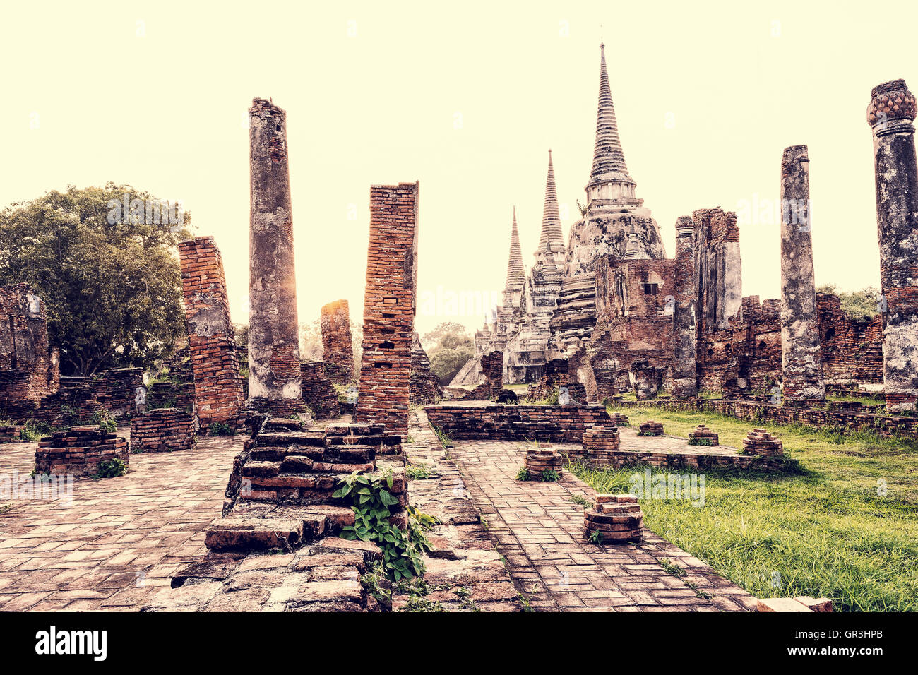 Vintage-Stil Ruinen und antike Architektur Pagode Wat Phra Si Sanphet alte Tempel Sehenswürdigkeiten während des Sonnenuntergangs Stockfoto
