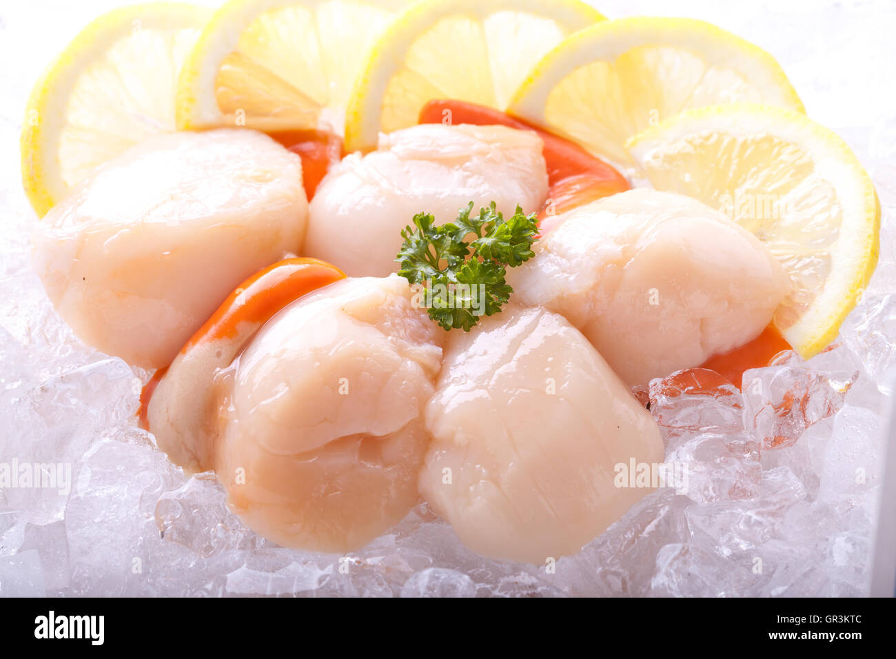 Rohe jakobsmuschel -Fotos und -Bildmaterial in hoher Auflösung – Alamy