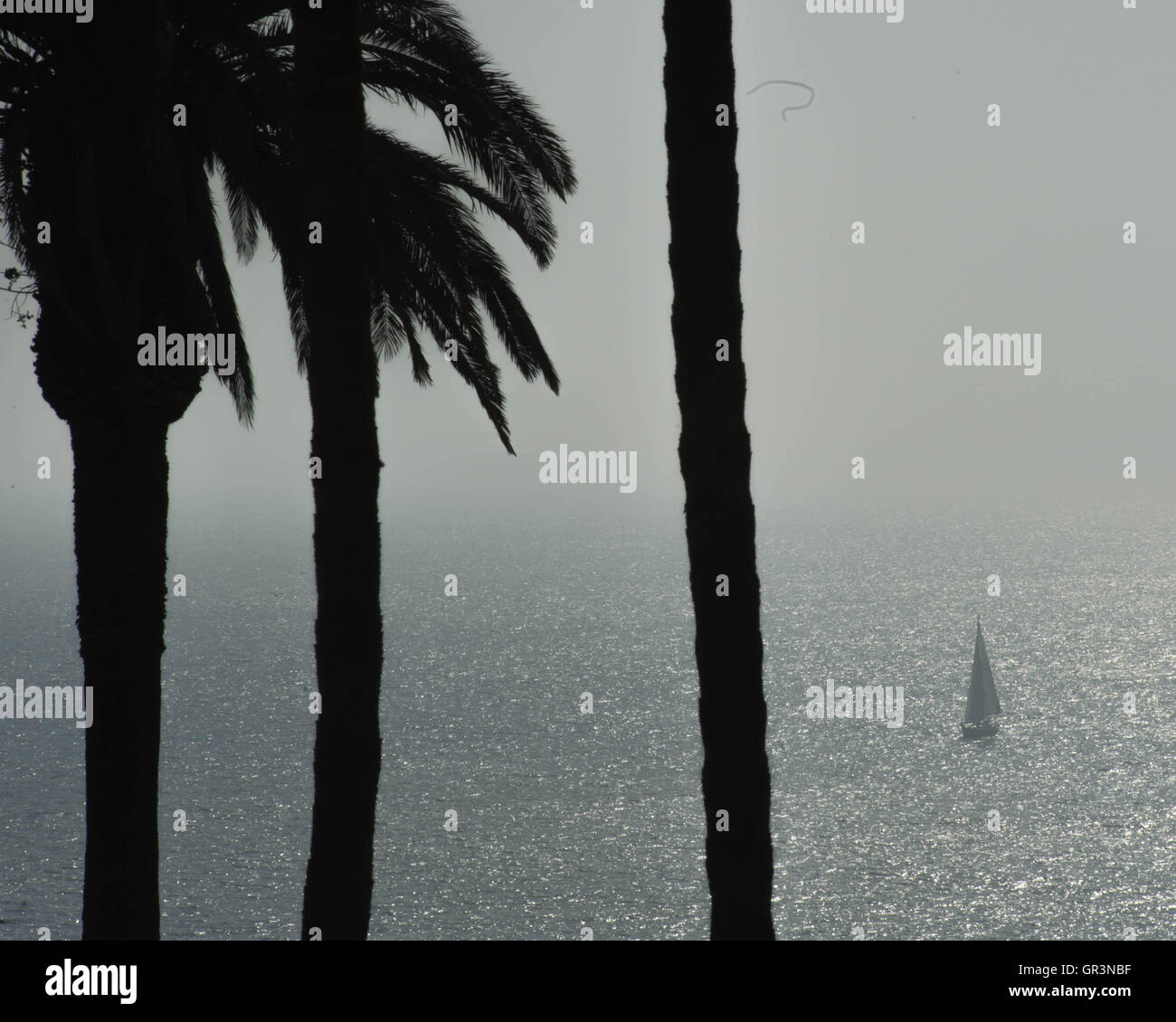 Ein Segelboot - von Palmen eingerahmt wird aus dem Juni Trübsinn am Nachmittag in Santa Monica, Kalifornien, USA Stockfoto