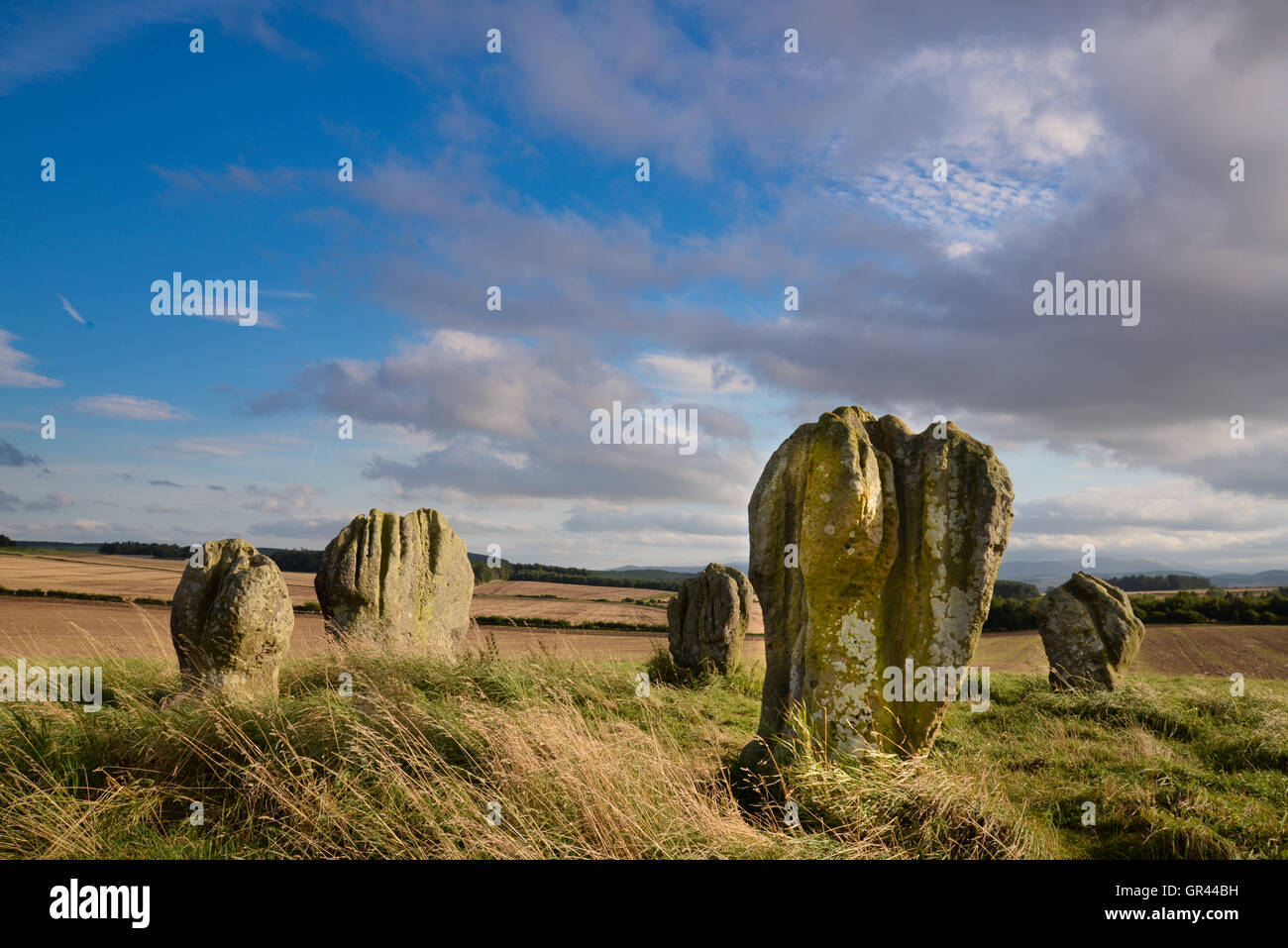 Der Steinkreis stehen in der Nähe von Duddo in North Northumberland. Diese Neolitihic-Seite wird nur selten besucht. Stockfoto