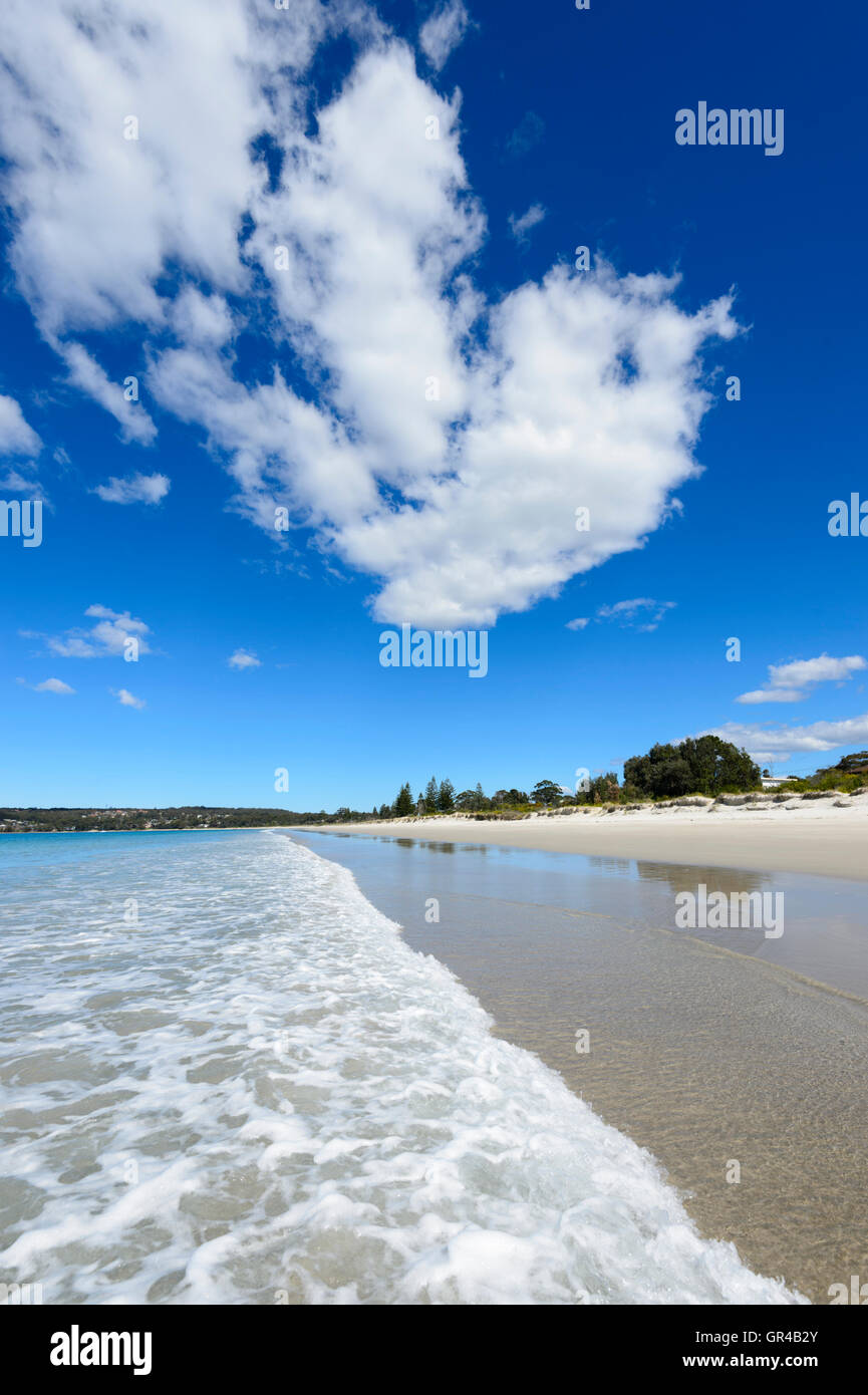 Blick auf den malerischen menschenleeren Sandstrand von Collinwood Strand, Jervis Bay, New South Wales, NSW, Australien Stockfoto