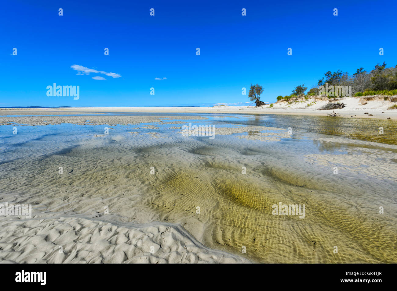 Sand Muster an Moona Moona Creek, Jervis Bay, New South Wales, NSW, Australien Stockfoto