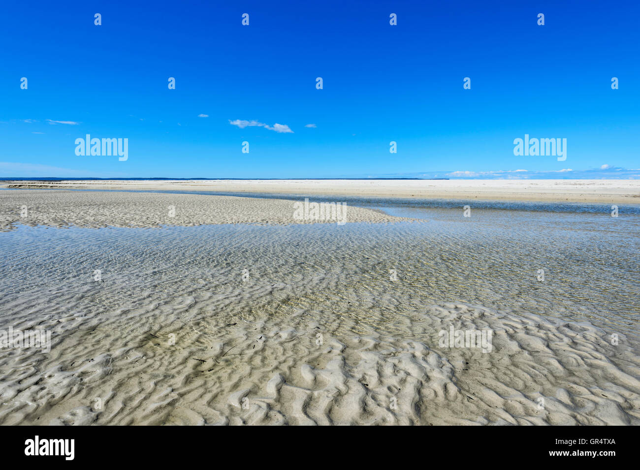 Sand Muster an Moona Moona Creek, Jervis Bay, New South Wales, NSW, Australien Stockfoto