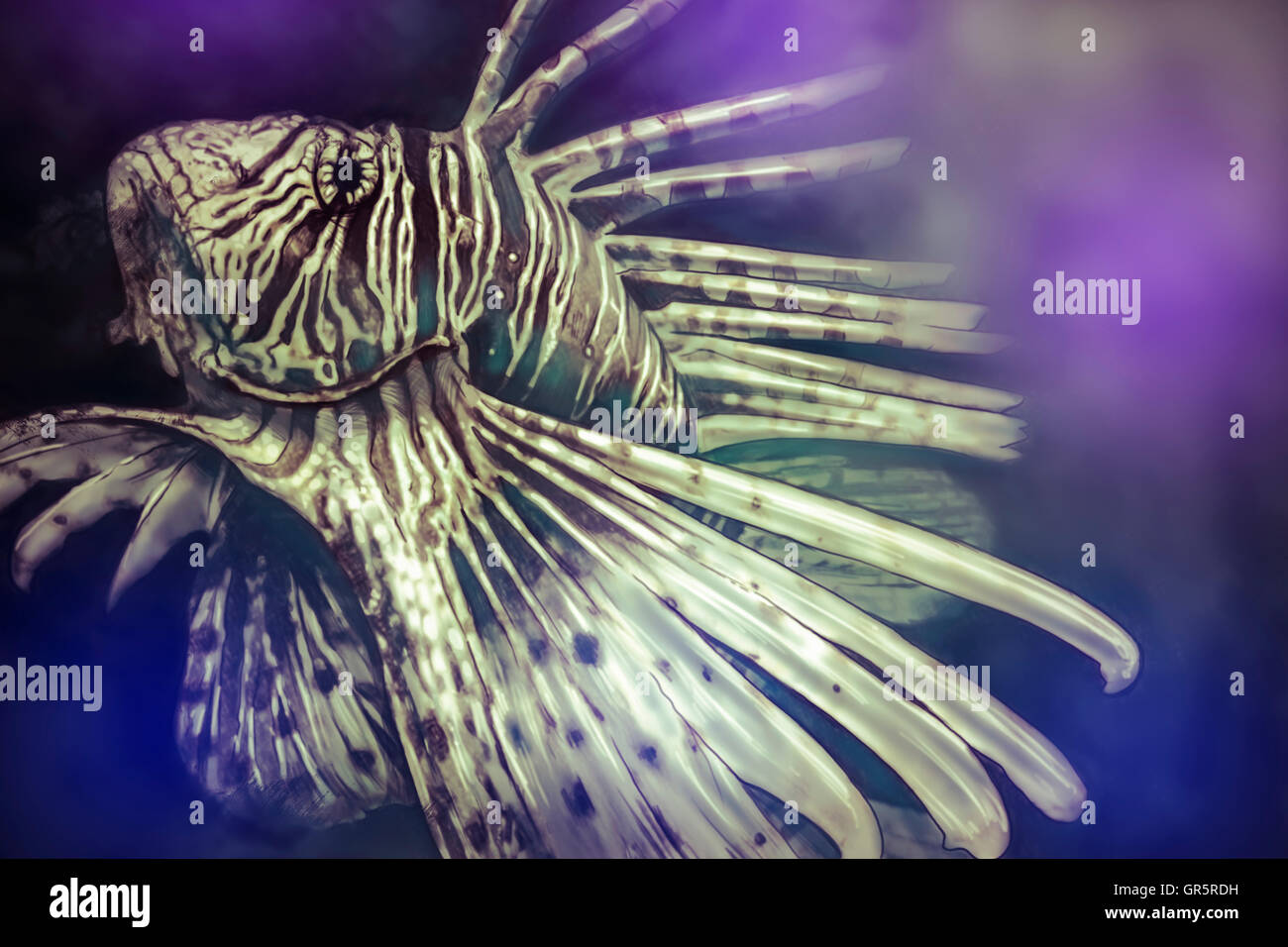 Abbildung mit einem digital-Tablette Skorpion Fisch gefährlich gemacht, Stockfoto
