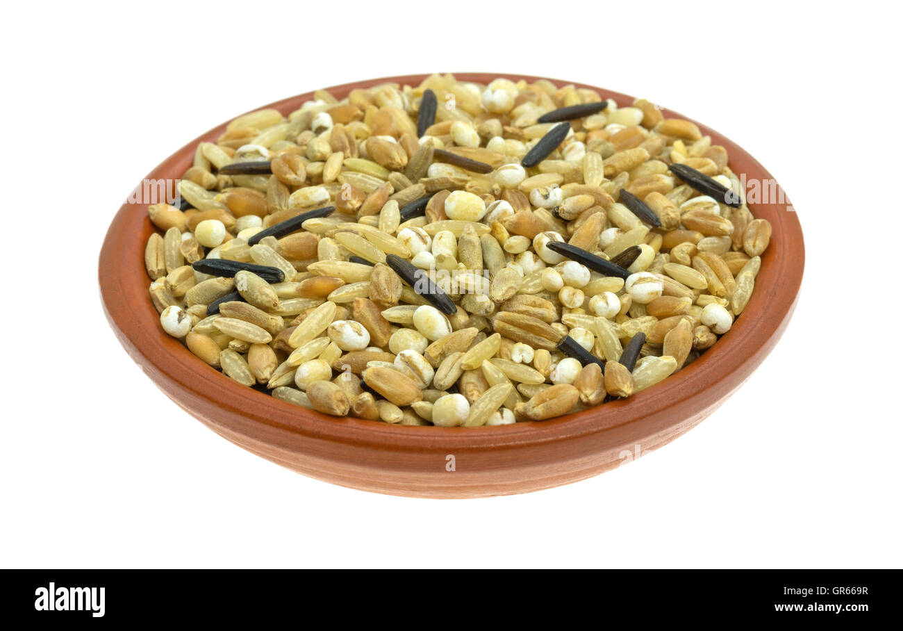 Eine kleine Schüssel gefüllt mit verschiedenen Sorten von Reis und Getreide auf einem weißen Hintergrund. Stockfoto