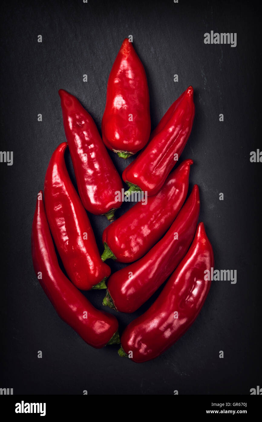 Rote Paprika auf einem schwarzen Schiefer-Hintergrund Stockfoto
