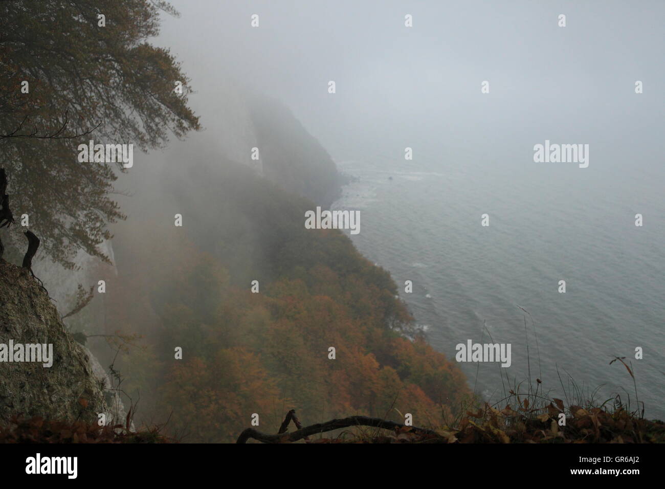 Insel Rügen Herbst 2015, Mecklenburg Vorpommern, Deutschland, Europa Stockfoto