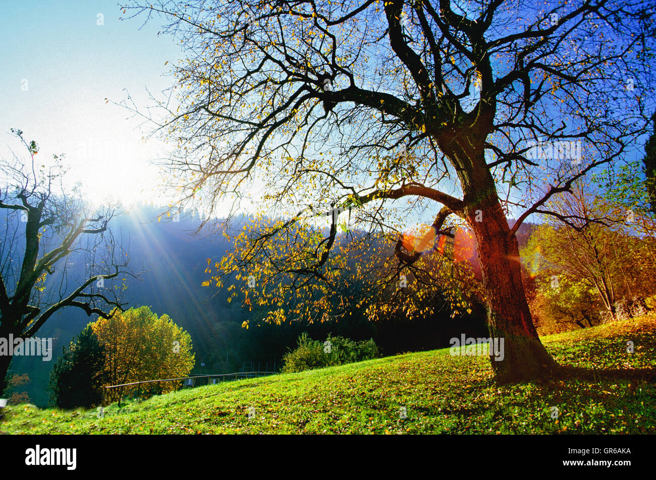 Sonnenaufgang im Frühjahr In Österreich Stockfoto
