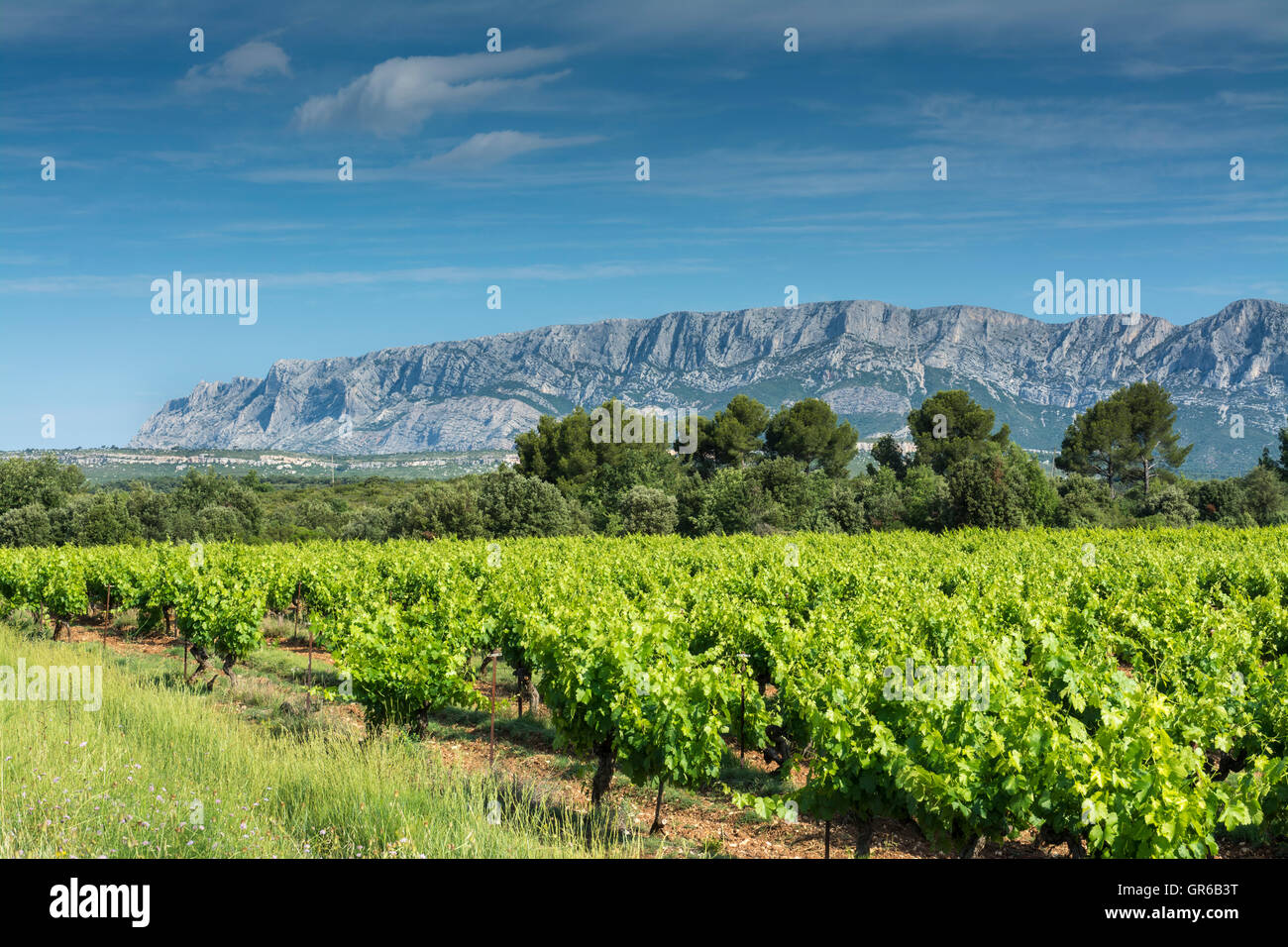 Sainte Victoire Stockfoto