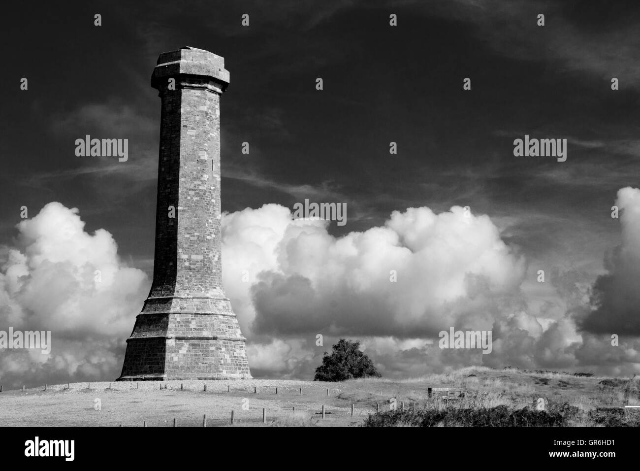 Das Hardy-Denkmal am schwarzer unten nahe dem Dorf Portesham in Dorset, in Erinnerung an Vizeadmiral Sir Thomas Masterman Hardy, Stockfoto