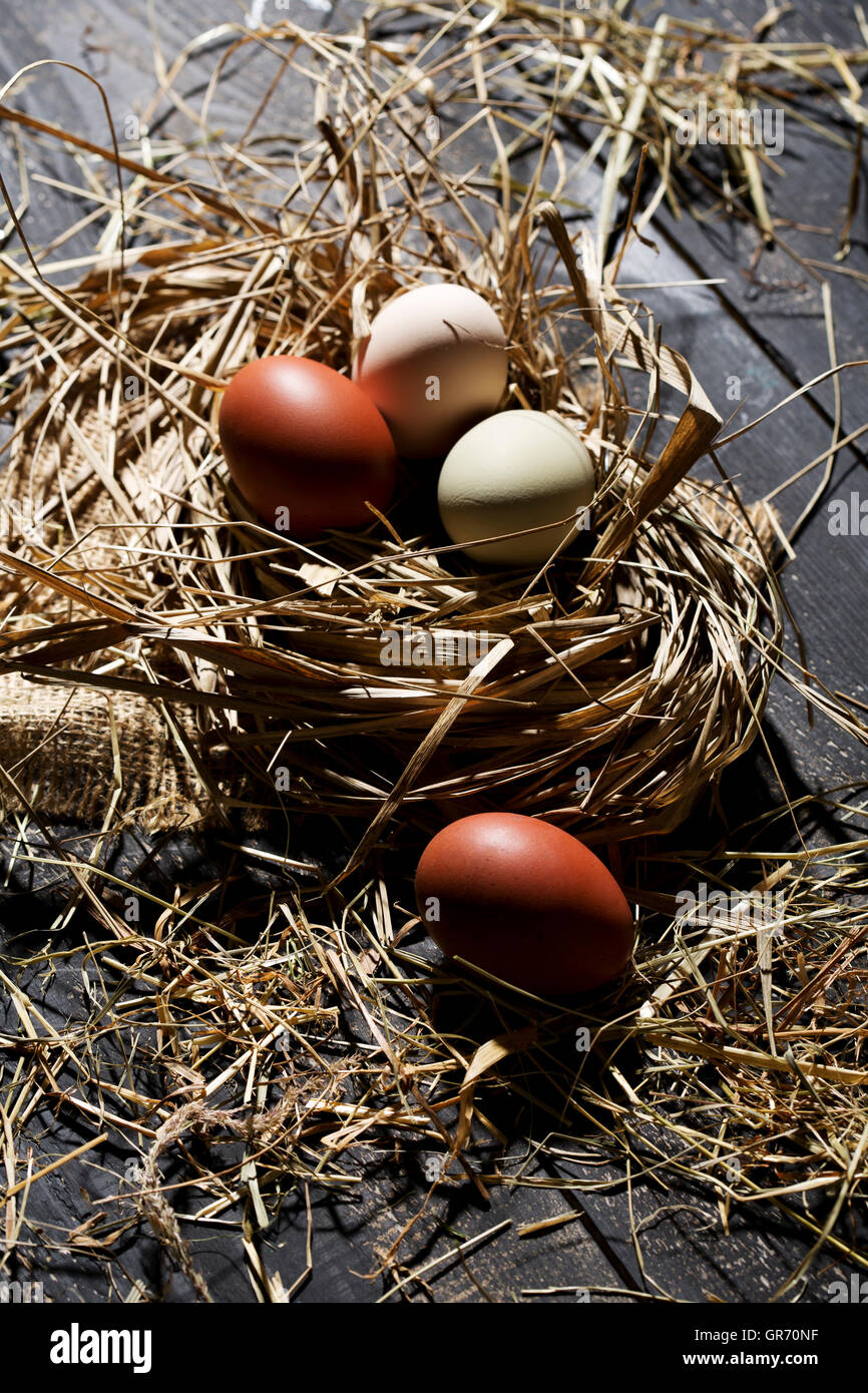 Eiern In einem Nest Stockfoto