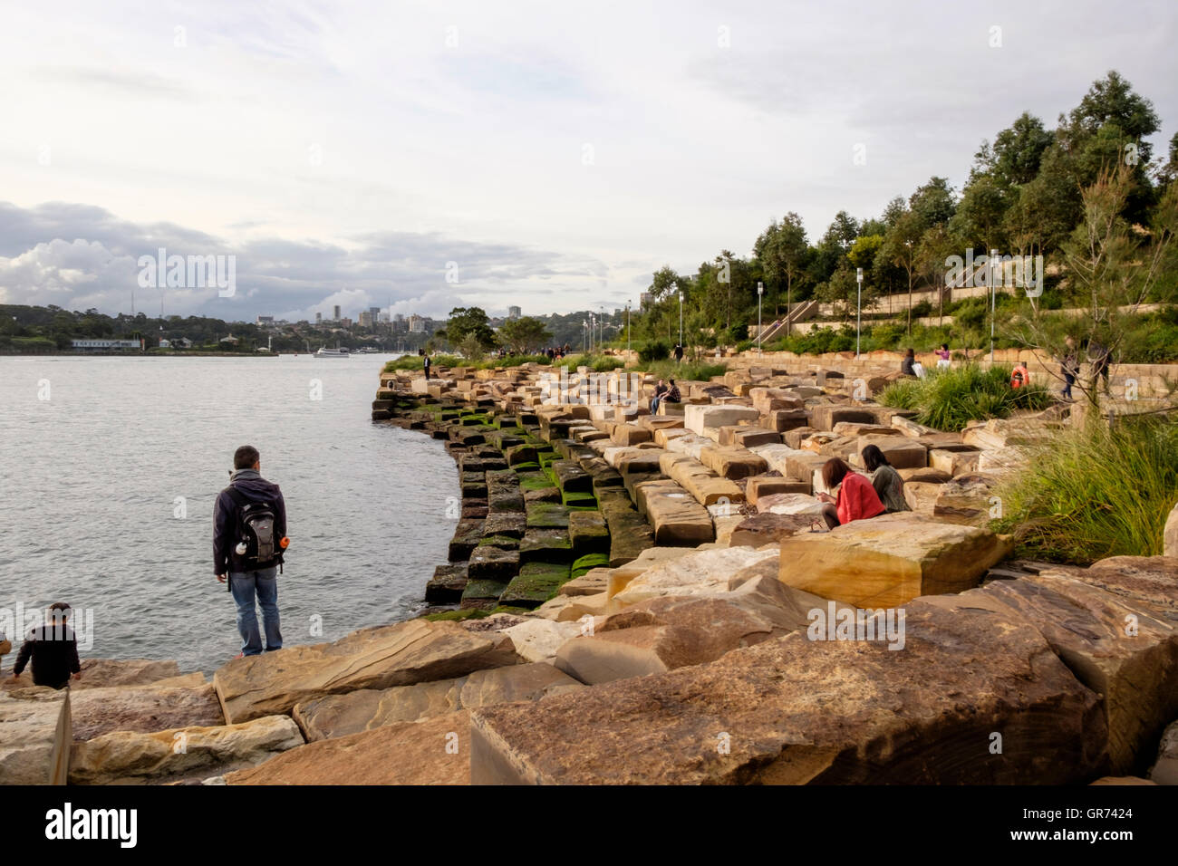 Barangaroo Reserve, Sydney, New South Wales, Australien Stockfoto