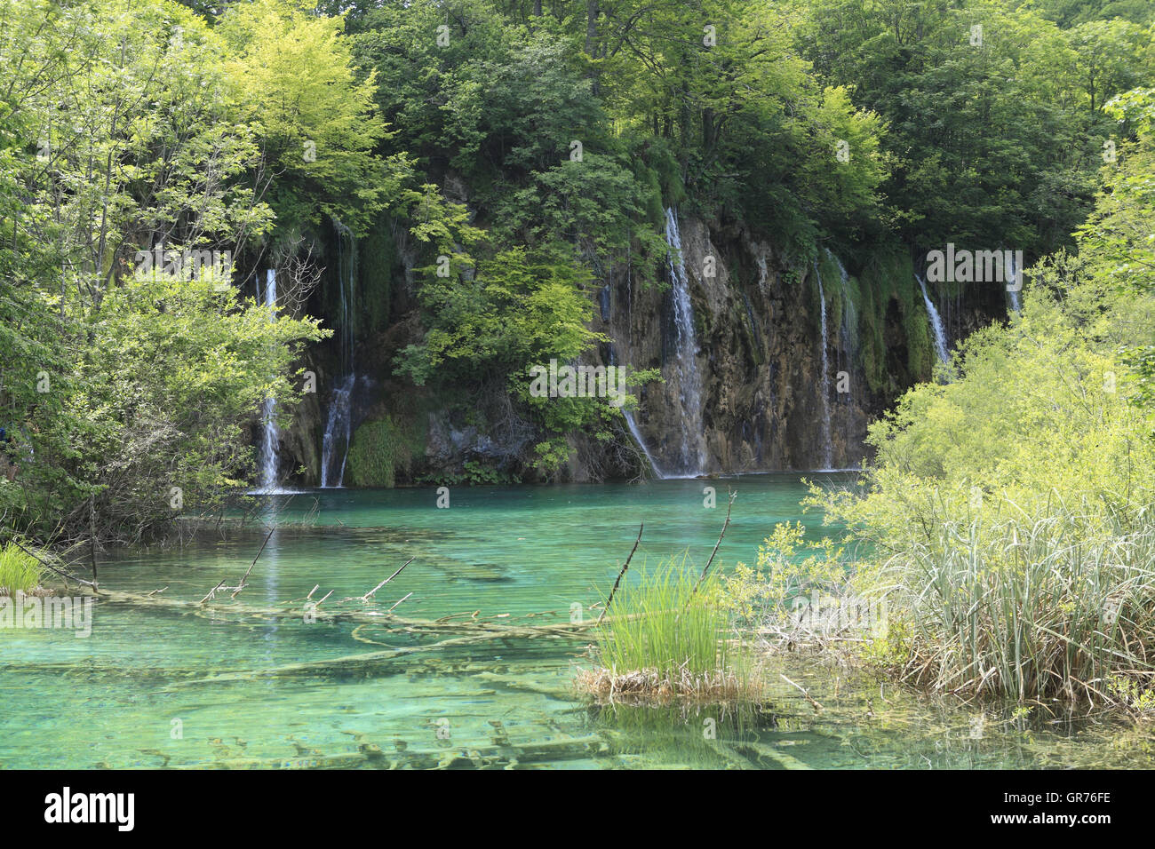 Nationalpark Plitvicer Seen, Kroatien, Europa Stockfoto