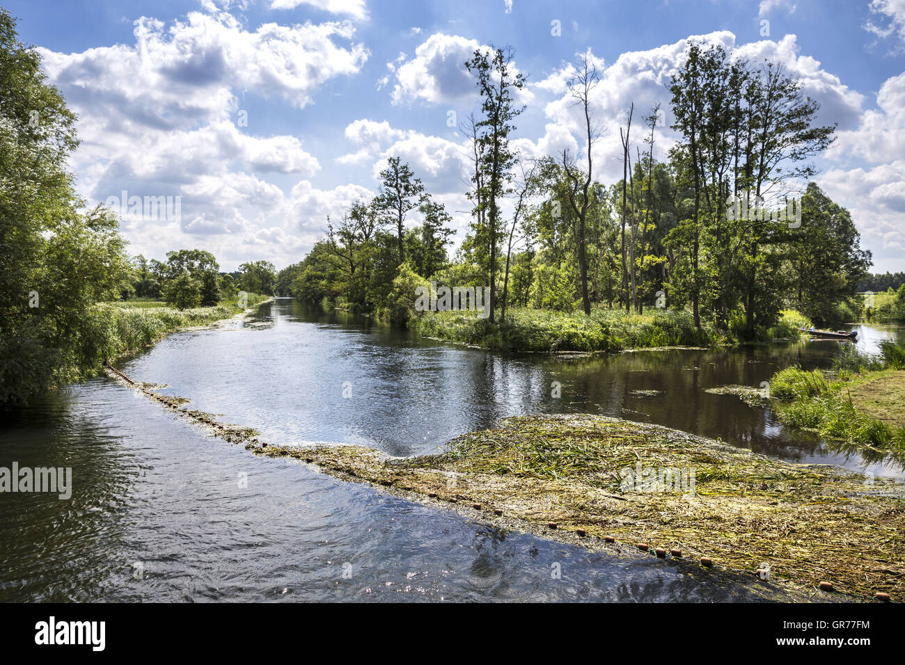 Wasserkanal im Spreewald Stockfoto