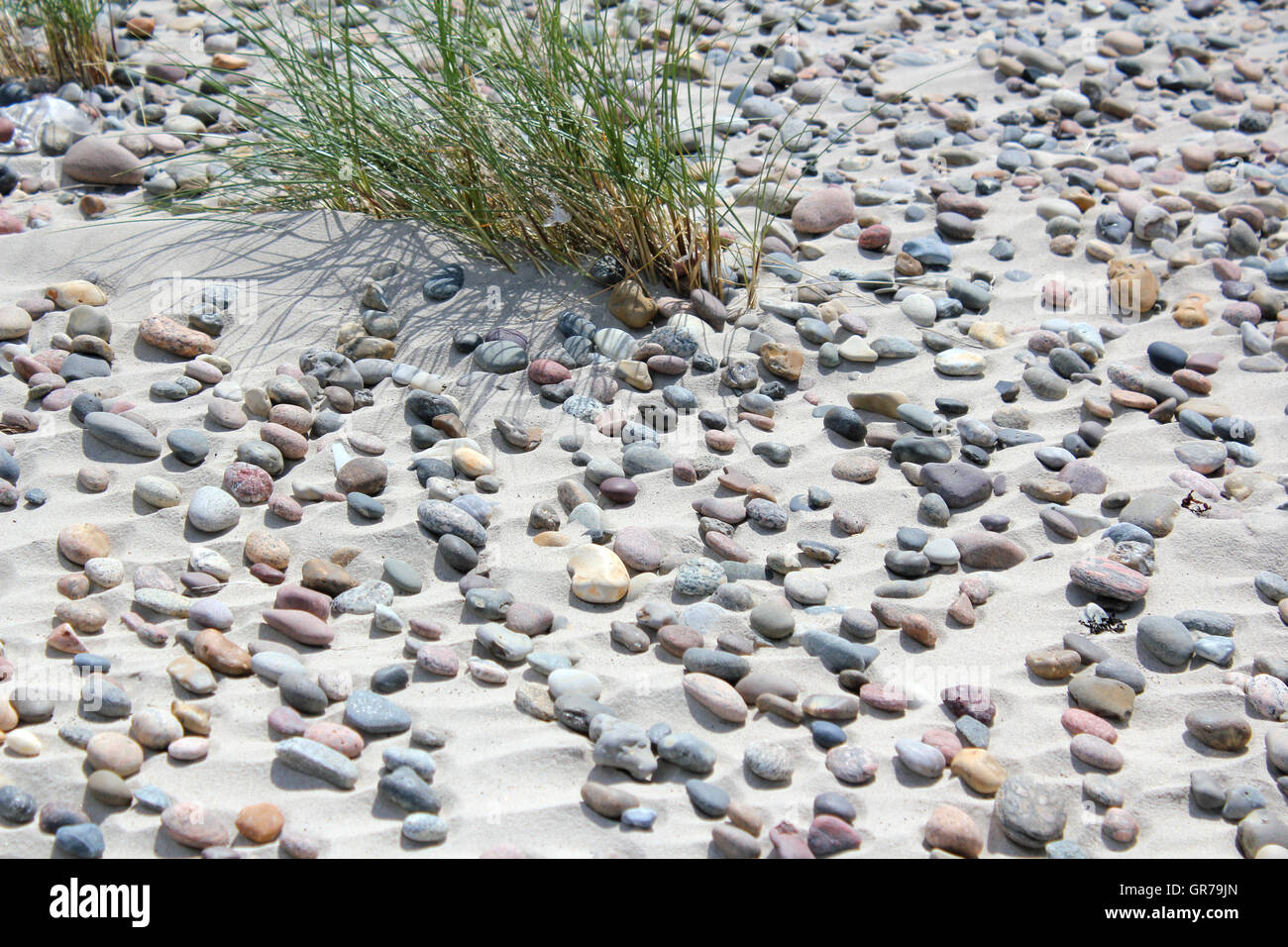 Nur ein bisschen grün Stockfoto