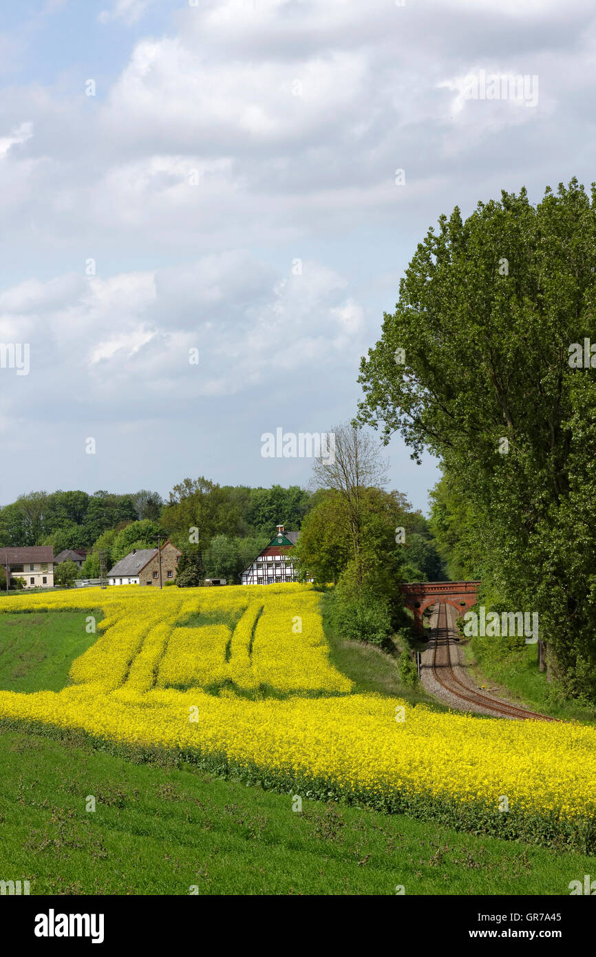 Vergewaltigung mit Bahngleis im Mai, Hilter, Osnabrücker Land, Region, Deutschland, Europa Stockfoto