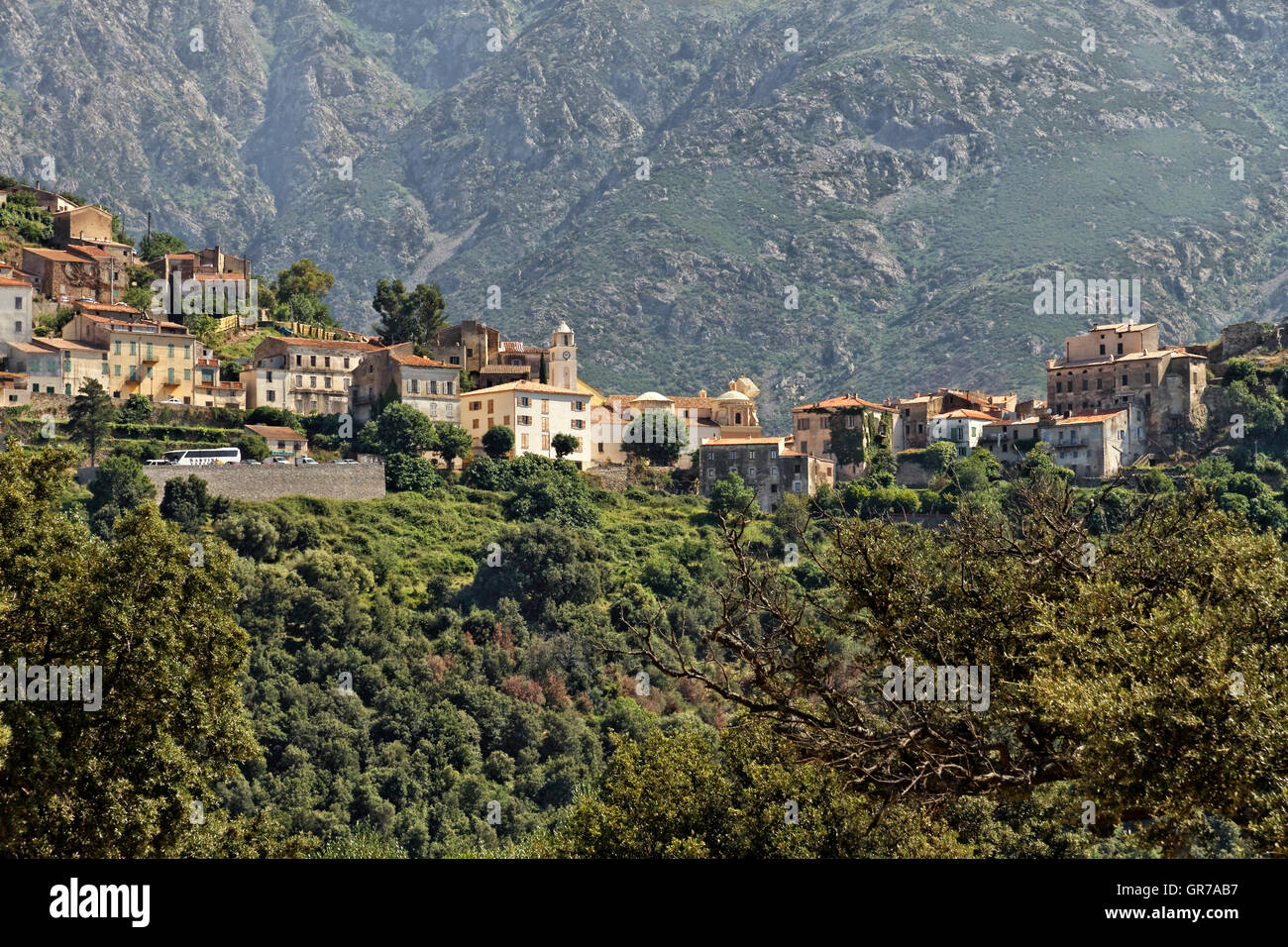 Mountain Village von Belgodere im Nebbio Region, Korsika, Frankreich, Europa Stockfoto