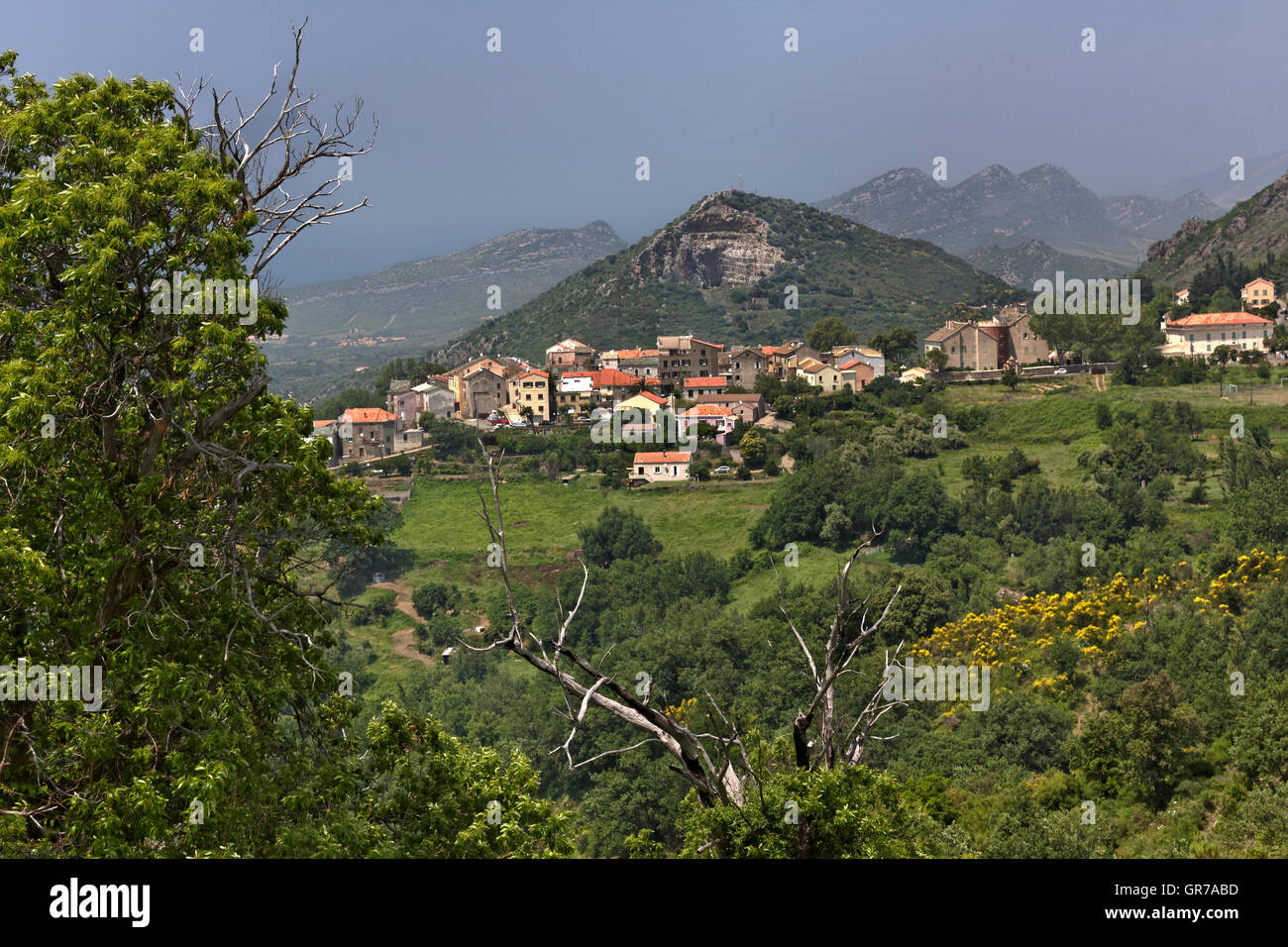 Bergdorf Olmeta Di Tuda Olmeta-Di-Tuda, Nebbio Region Nord Korsika, Frankreich, Europa Stockfoto