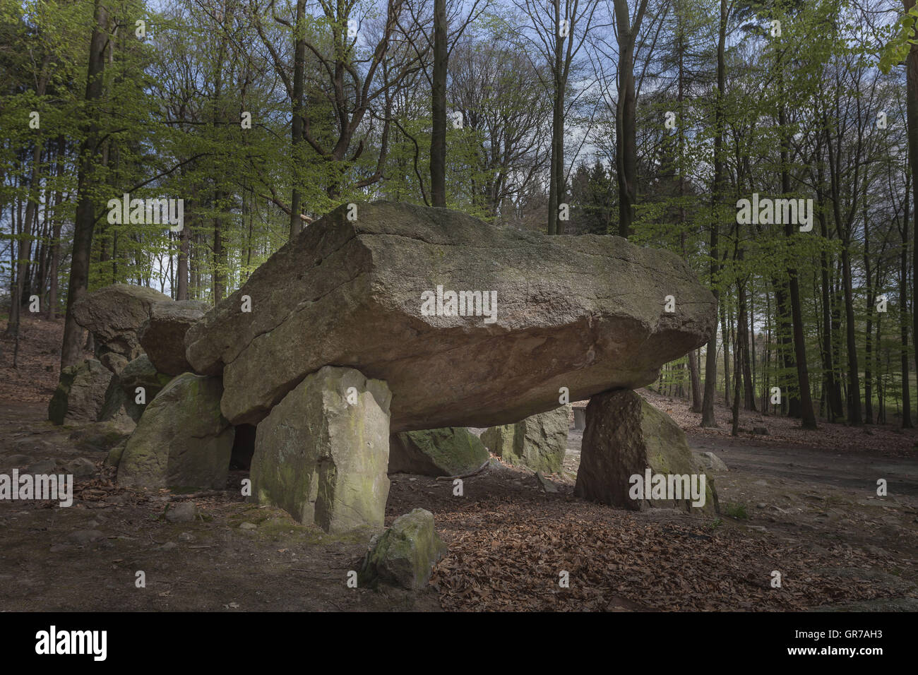 Jungsteinzeit Ganggrab, megalithischen Steinen In Osnabrück-Haste, Osnabrück, Deutschland Stockfoto