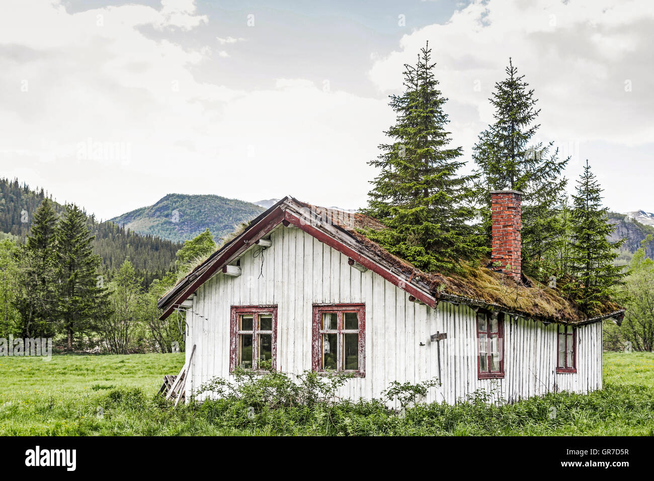 Kurioserweise Dachgarten Sie auf altnorwegischen Haus In Hemsedalen Stockfoto