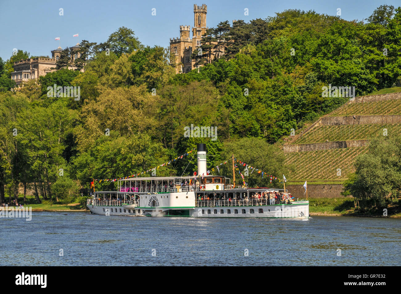 Schaufelrad-Dampfer In Dresden Stockfoto