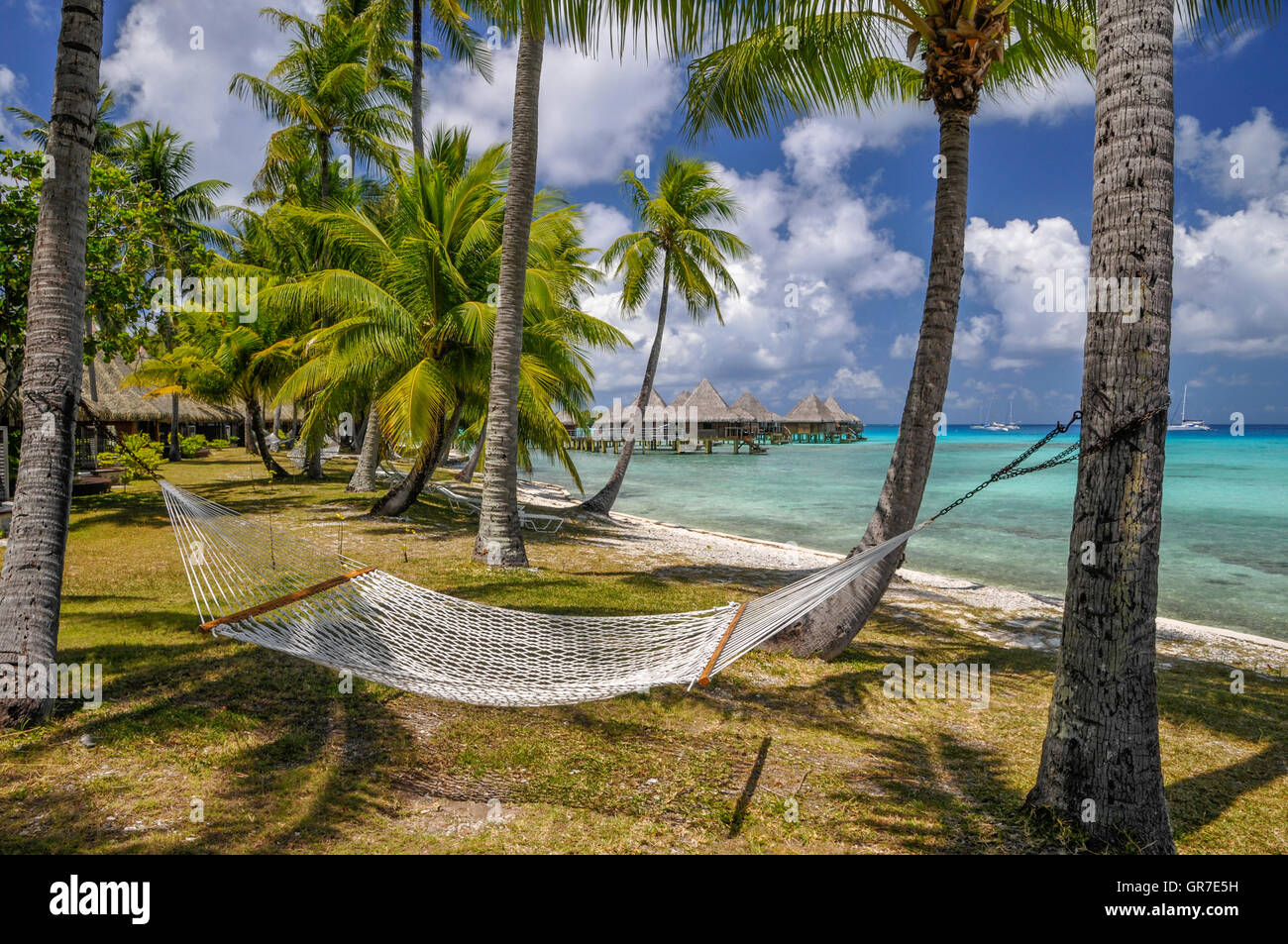 Südsee Stockfoto