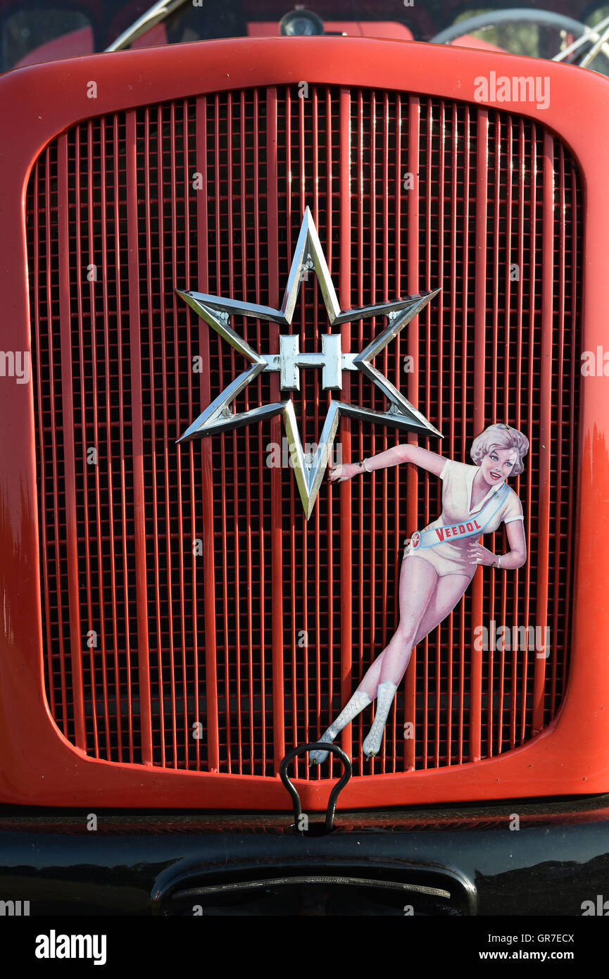 Henschel-Kühlergrill Stockfoto