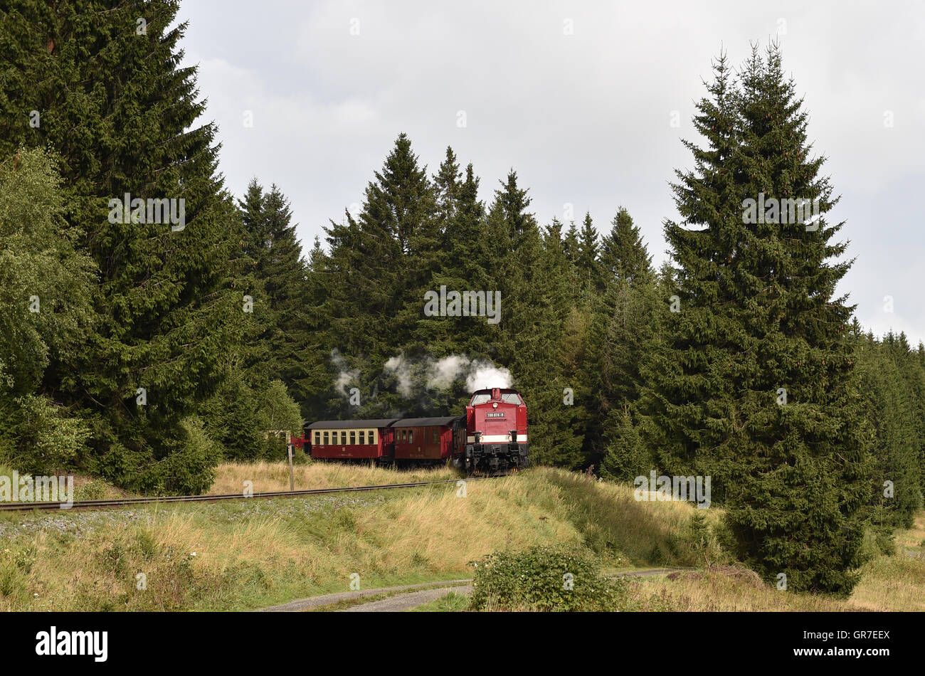 Harzer Schmalspurbahn Stockfoto