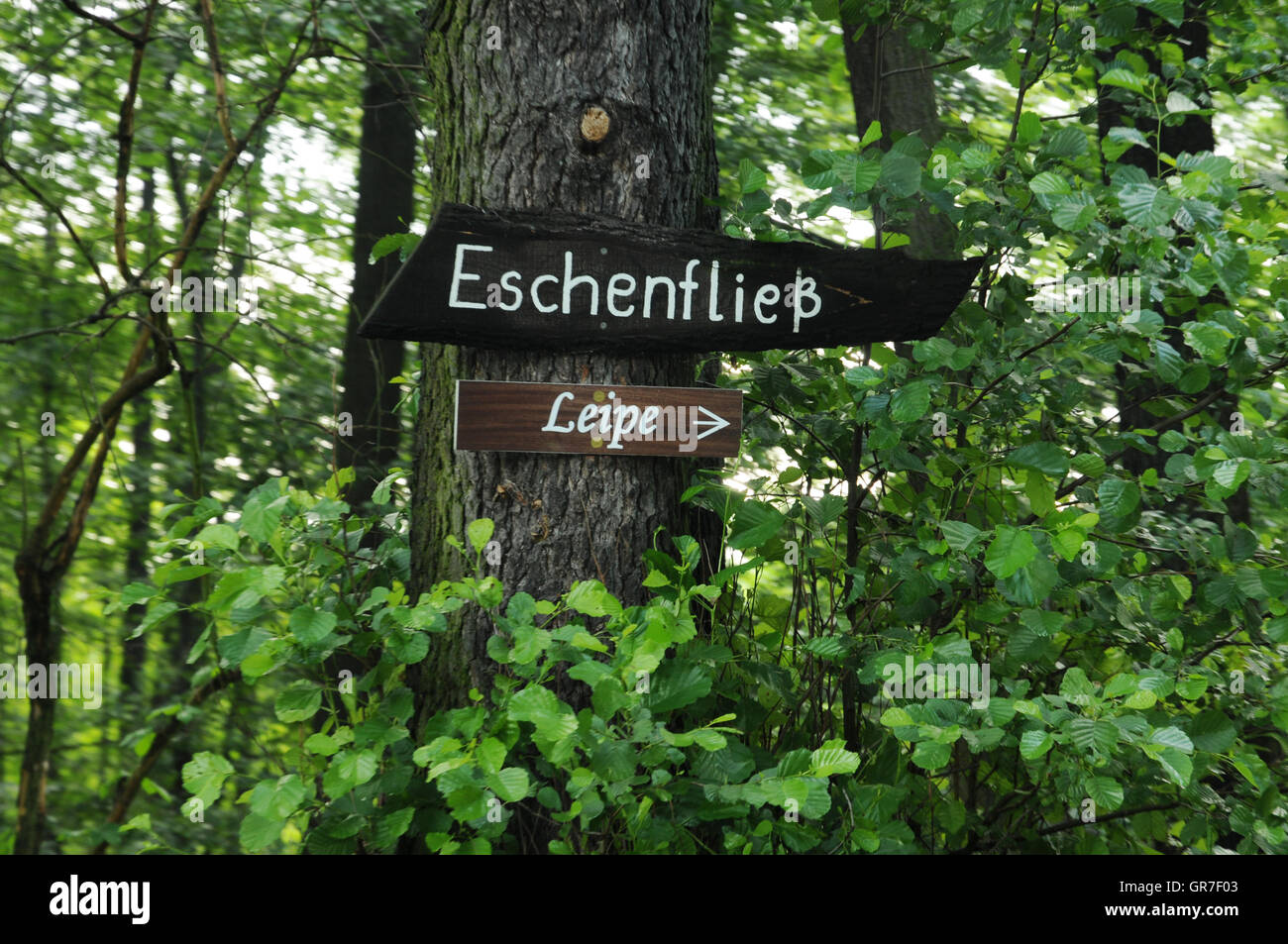 Wegweiser im Spreewald Stockfoto