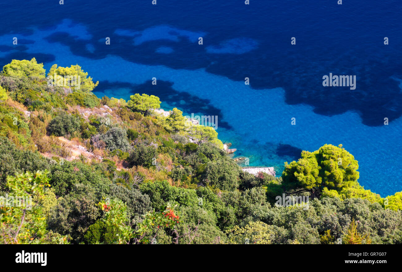 Hintergrund der Natur, Meer und grünen Pinienwald Stockfoto