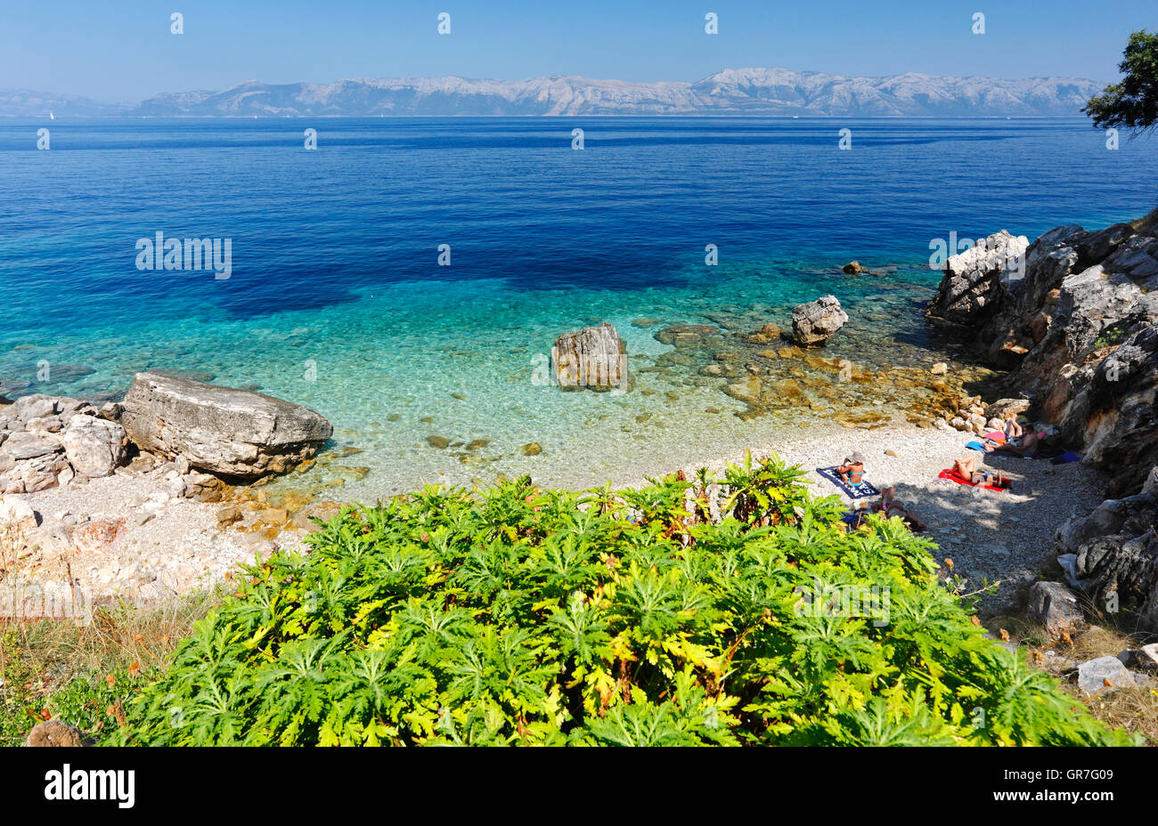 Schöner Strand auf der Insel Mljet, Dalmatien, Kroatien Stockfoto