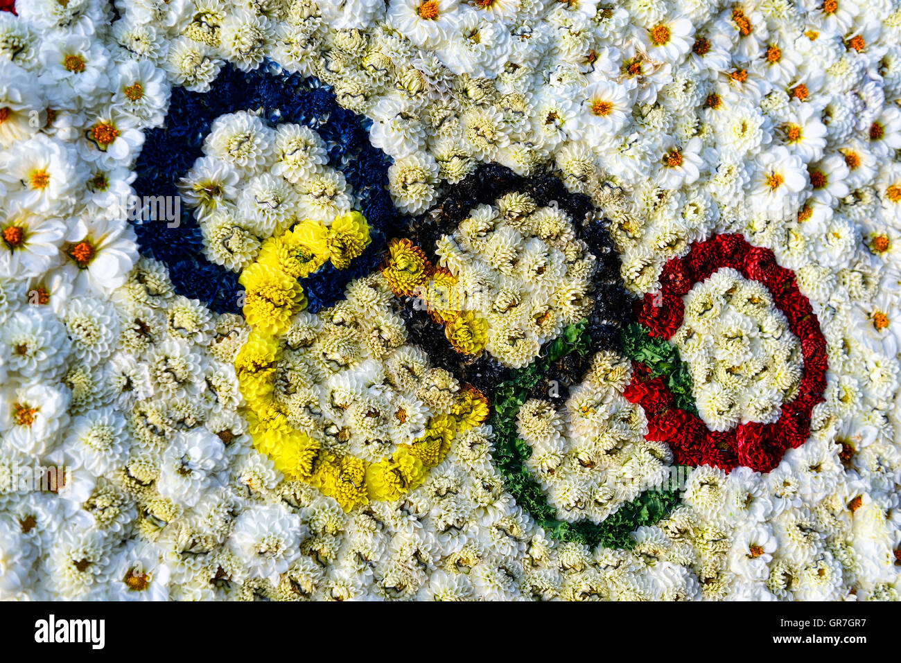 Olympische Ringe, die aus Blumen, Erntedankfest In Hamburg, Deutschland  Stockfotografie - Alamy