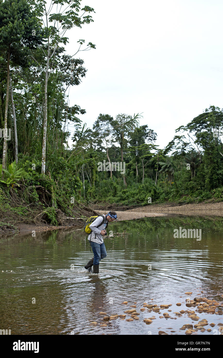 Wissenschaftler untersuchen den überfluteten Gebieten auf der Flussseite des Tambopata Fluss, Peru Stockfoto