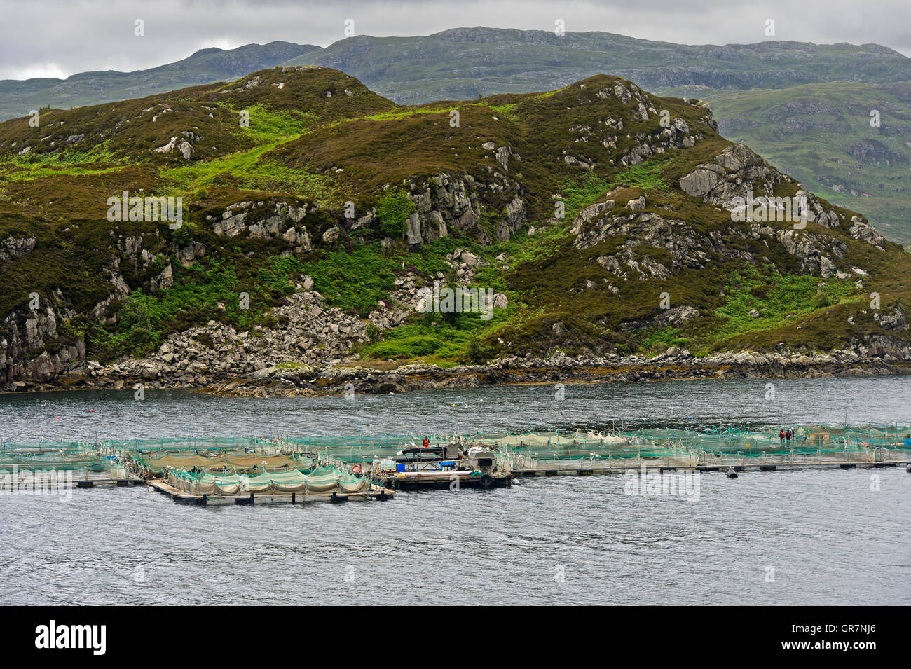 Fischzucht für Lachs In einer Bucht an der schottischen Küste, Schottland, Großbritannien Stockfoto