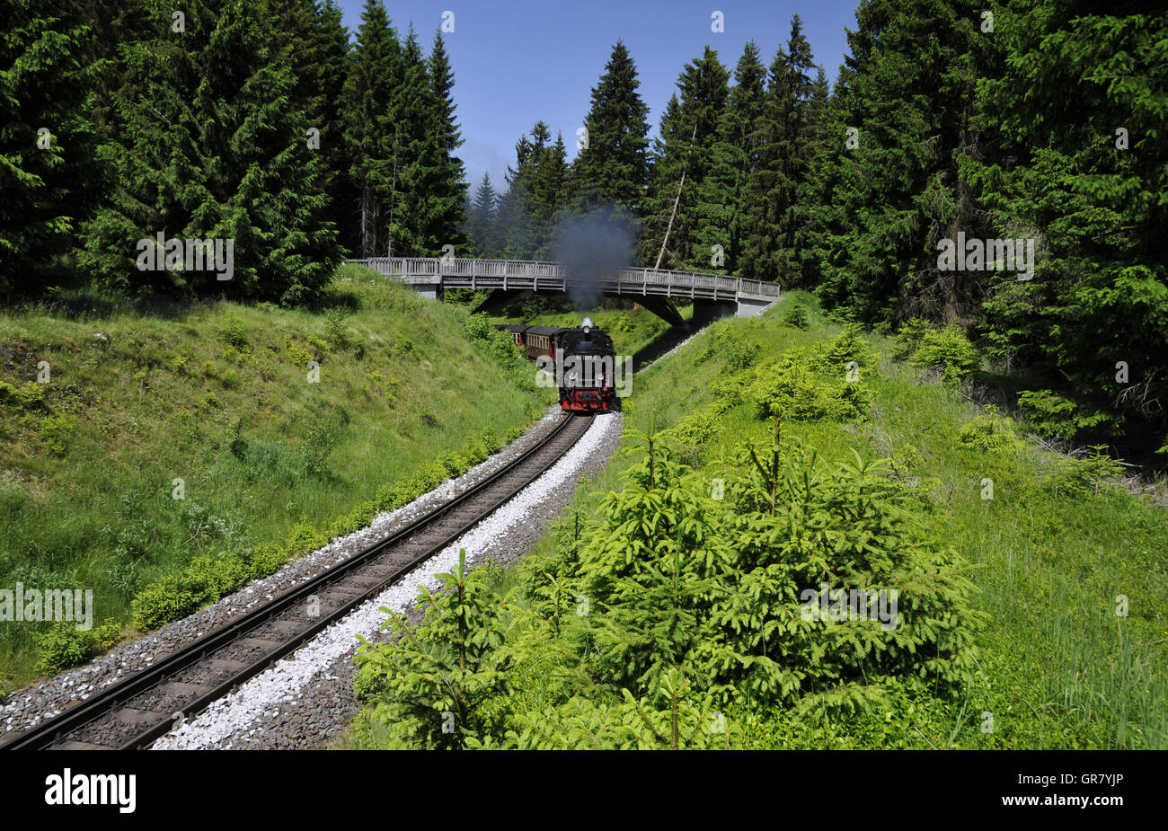Harzer Schmalspurbahn Stockfoto