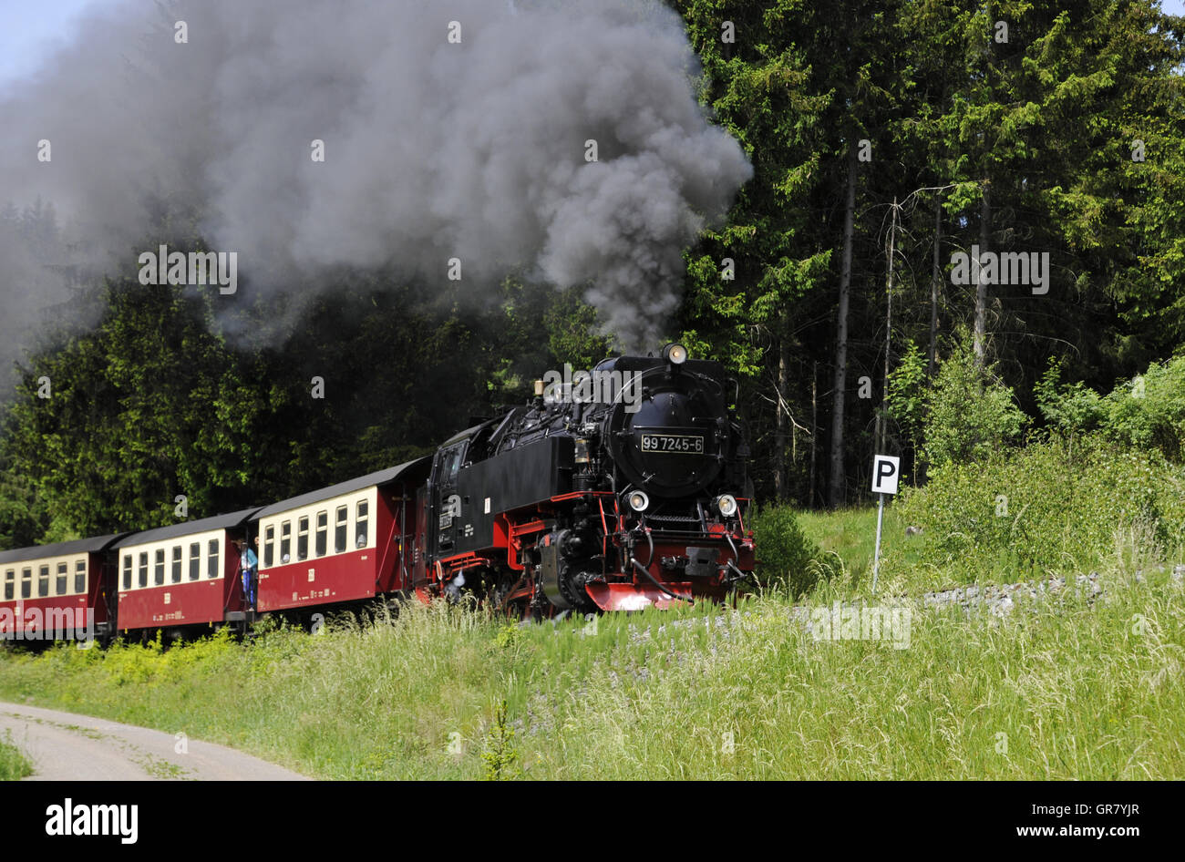 Harzer Schmalspurbahn Stockfoto