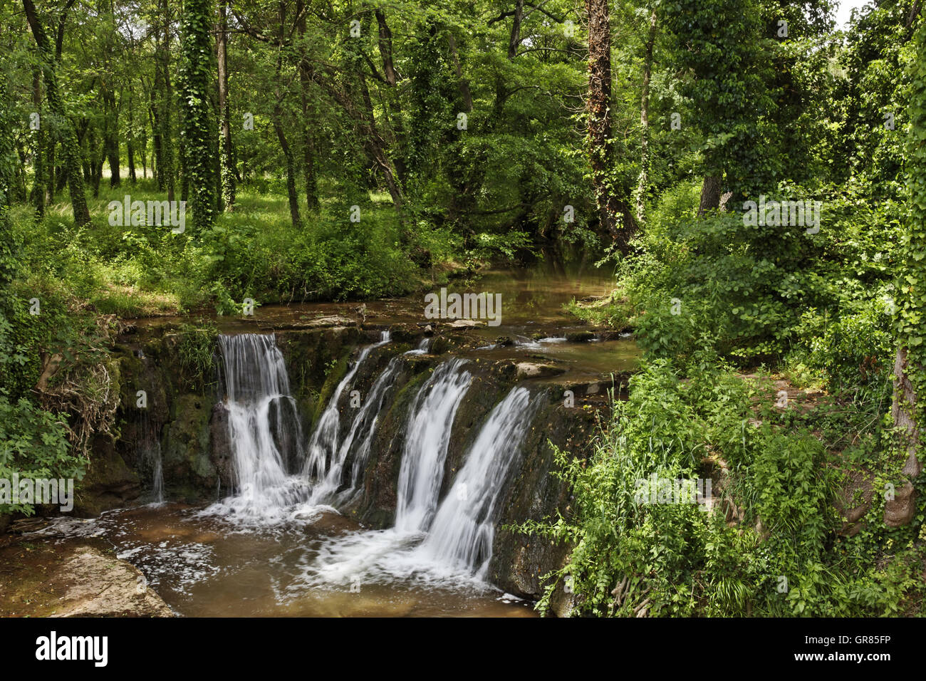Wasserfall, Massif Des Maures, Provence, Südfrankreich, Europa Stockfoto