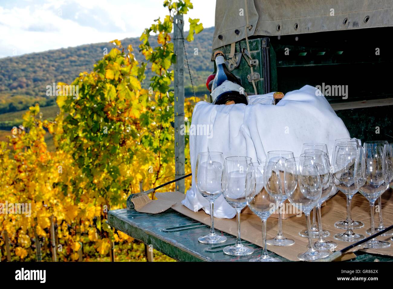 In Villany Weinregion ein Champagner-Picknick Stockfoto