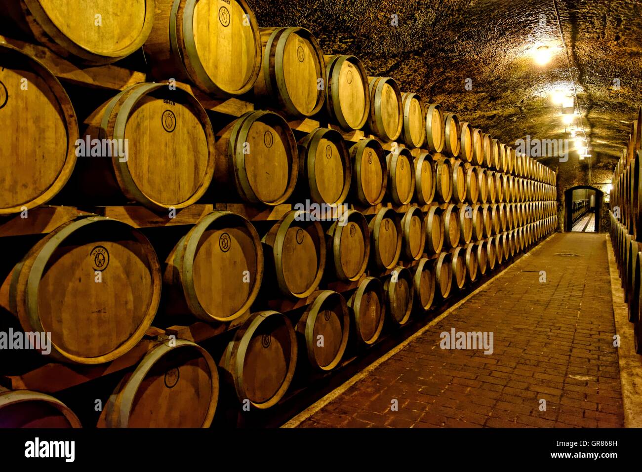 Barrique-Lagerung In das Weingut der Brüder Juhasz In Eger, Ungarn Stockfoto