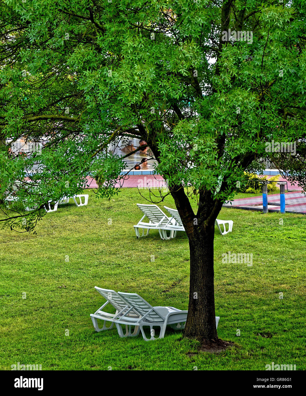 Weißen Liegestühlen unter einem Baum im Pool Stockfoto